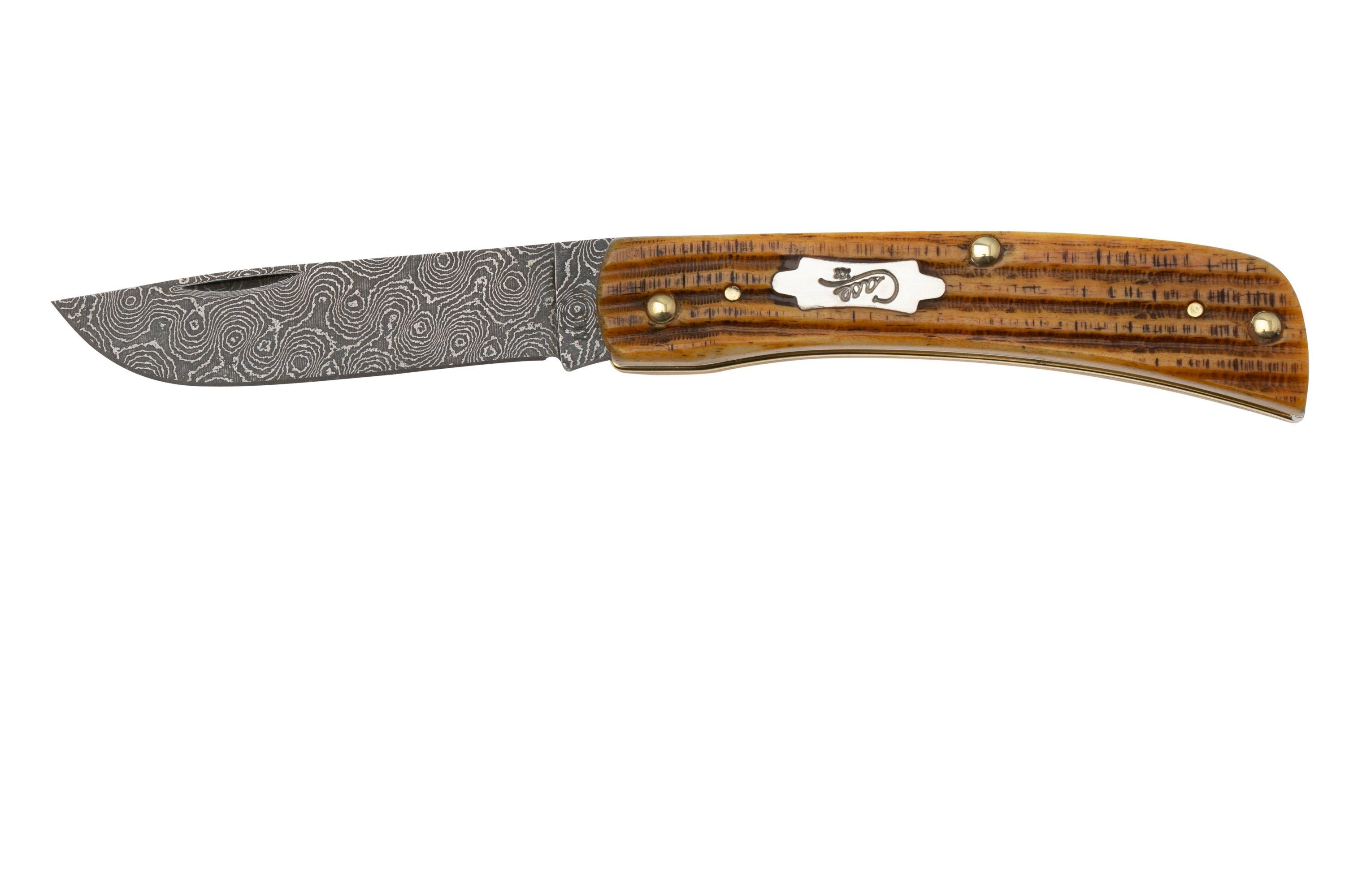 Case Sod Buster Jr 52421 Burnt Goldenrod Damascus 6137 Taschenmesser