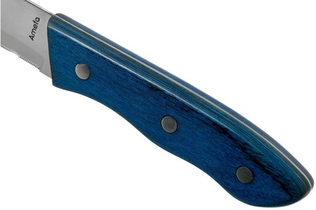 Bild für Amefa Hercule XL 4917 blau Pakkaholz Steakmesser 4 Stück