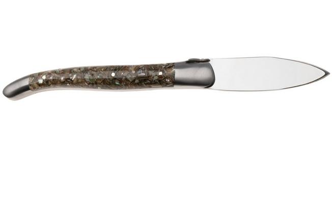 Afbeelding voor Laguiole en Aubrac Oyster Abalone, Brushed Stainless Steel, oestermes, abalone- en oesterschelp