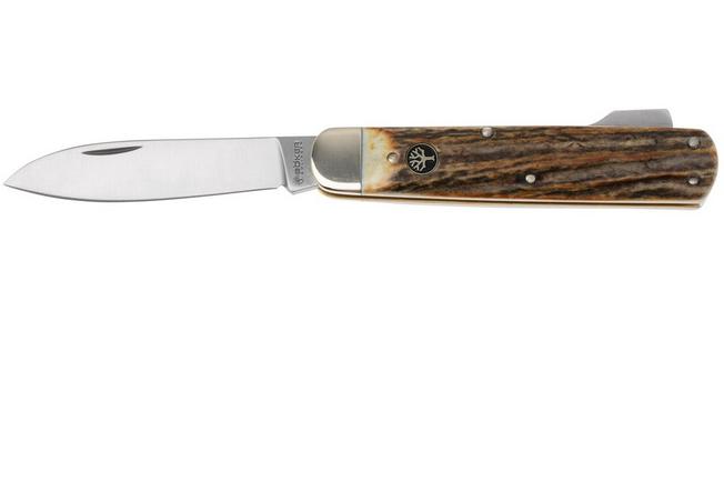 Böker Barlow Oak Tree 100503 slipjoint pocket knife