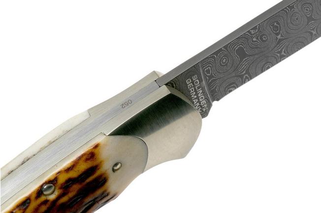 Böker Scout Spearpoint Stag Damascus 112201DAM stag horn, pocket