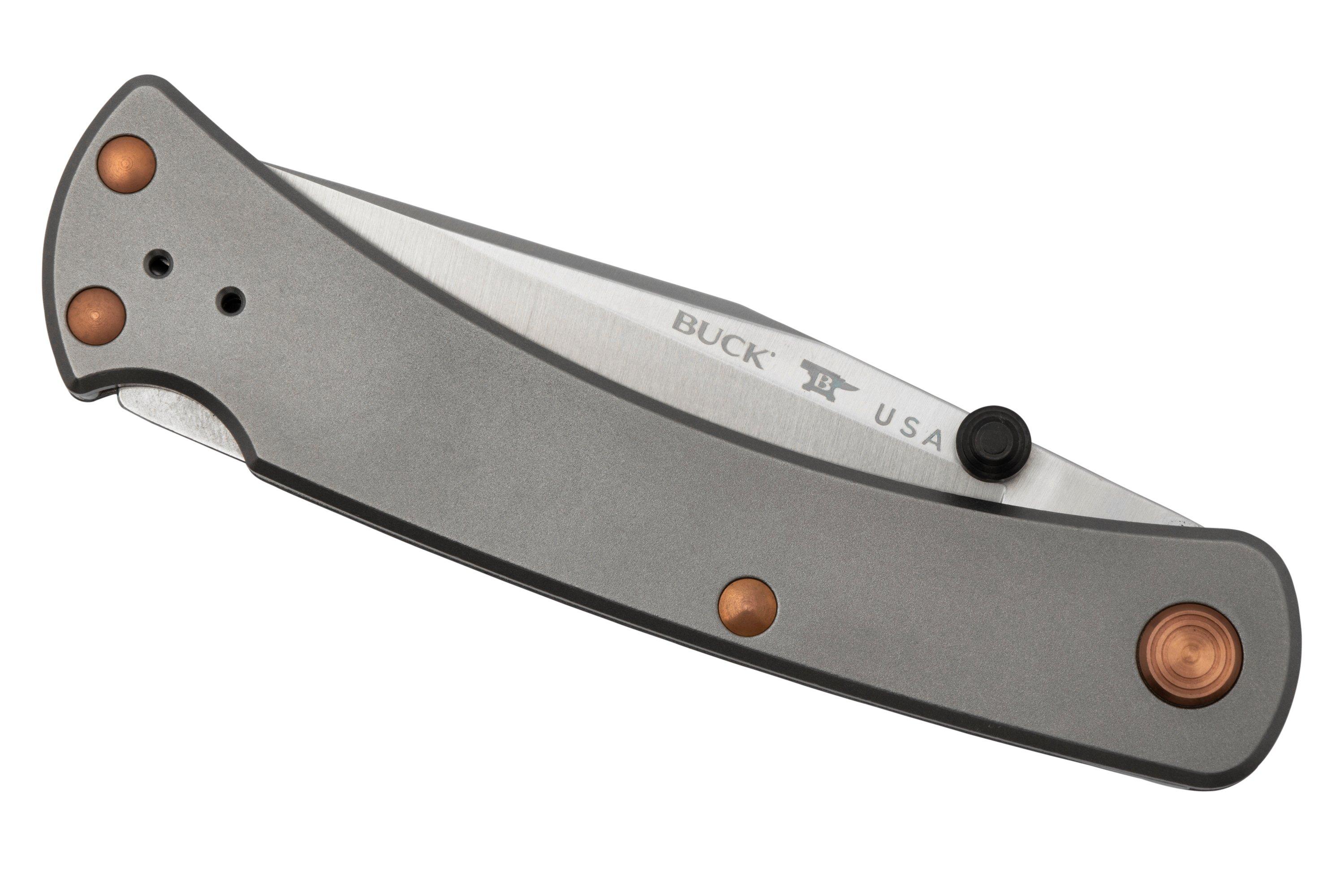 Buck 110 slim pro TRX Titanium, 0110GYSLE1 Limited, pocket knife