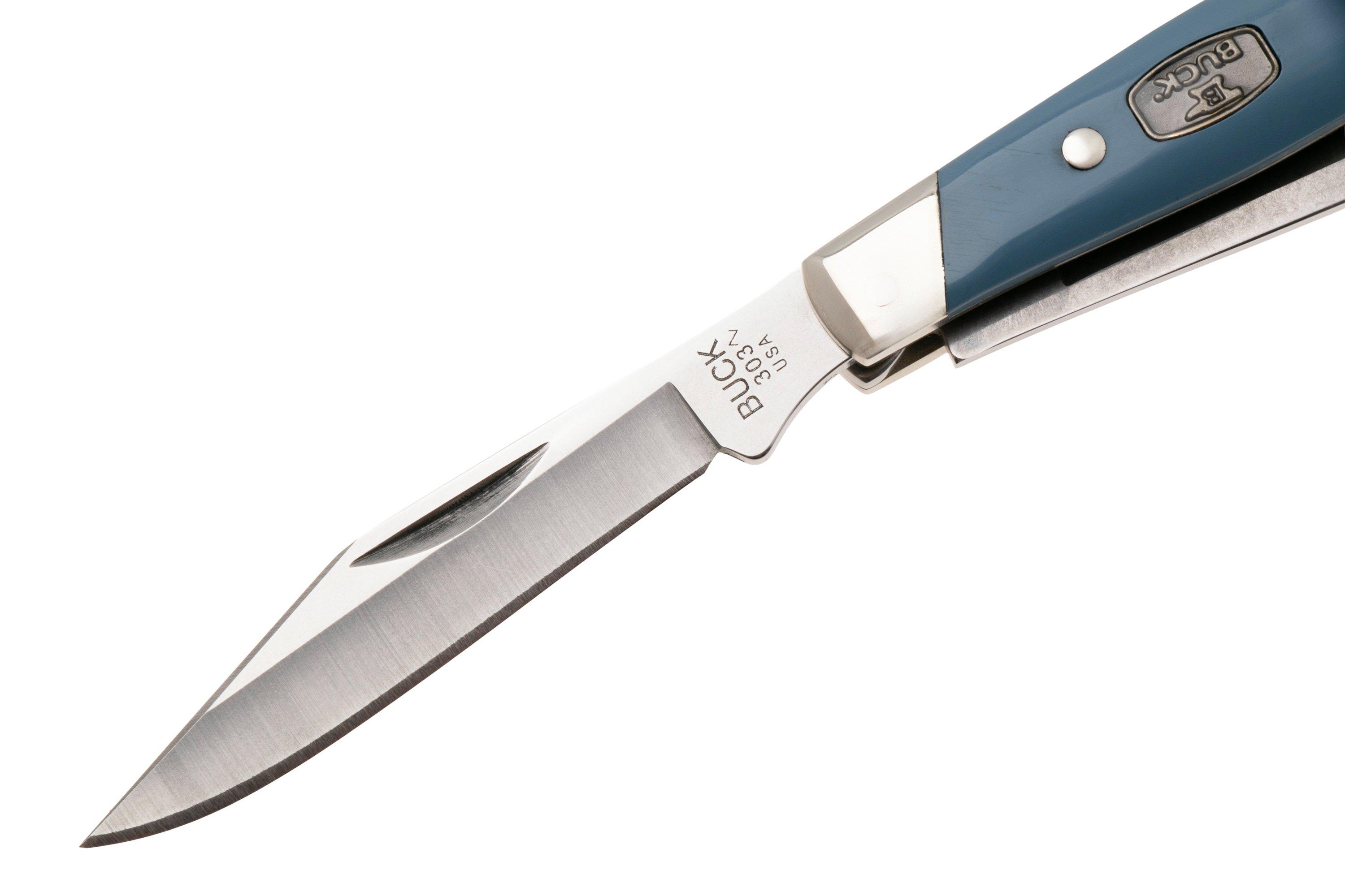 Buck Cadet 0303BLS Satin 420HC, Blue Synthetic Nickel Silver