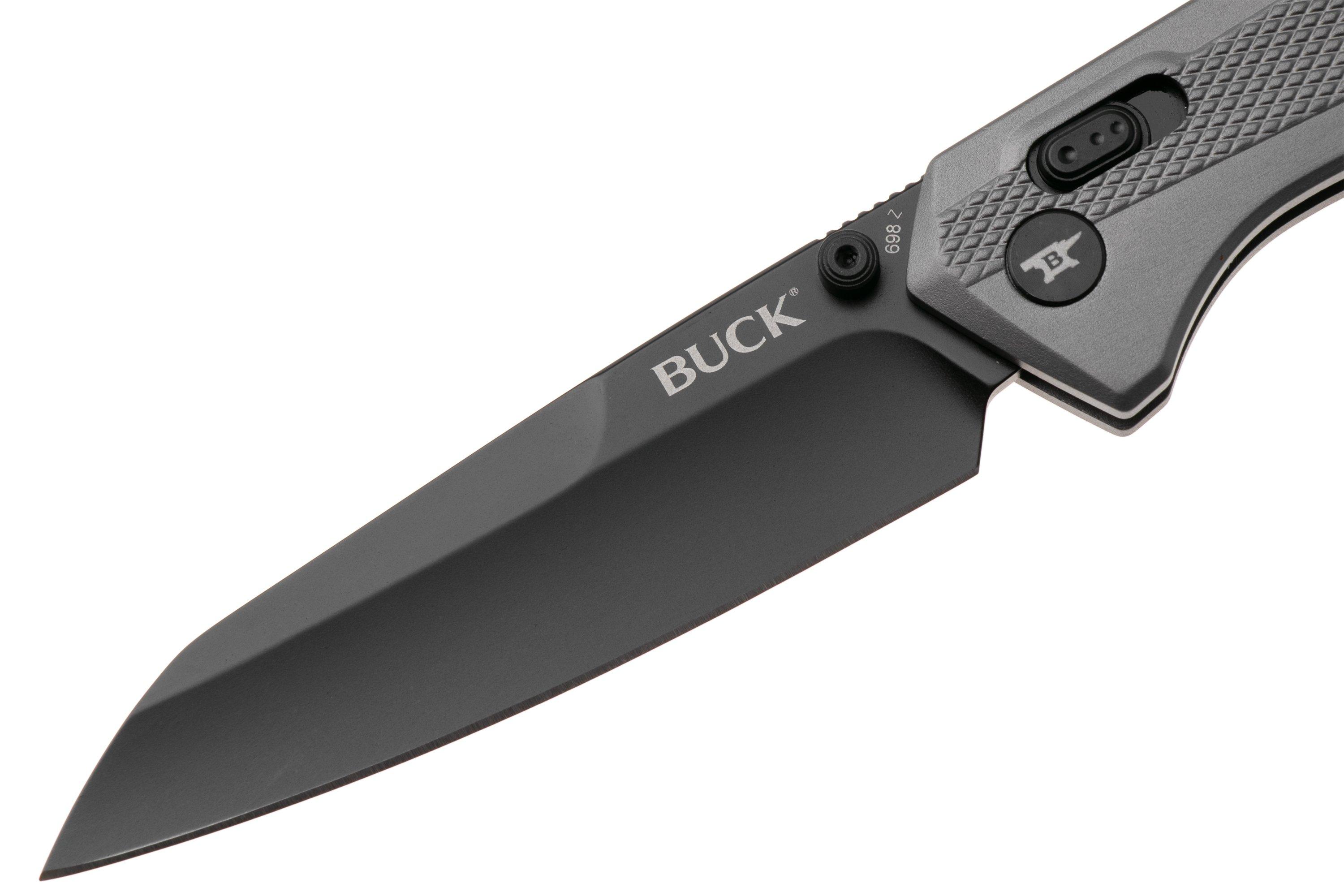 Buck 698 Ferrox 0698GYS Black D2, Silver Aluminum, pocket knife ...