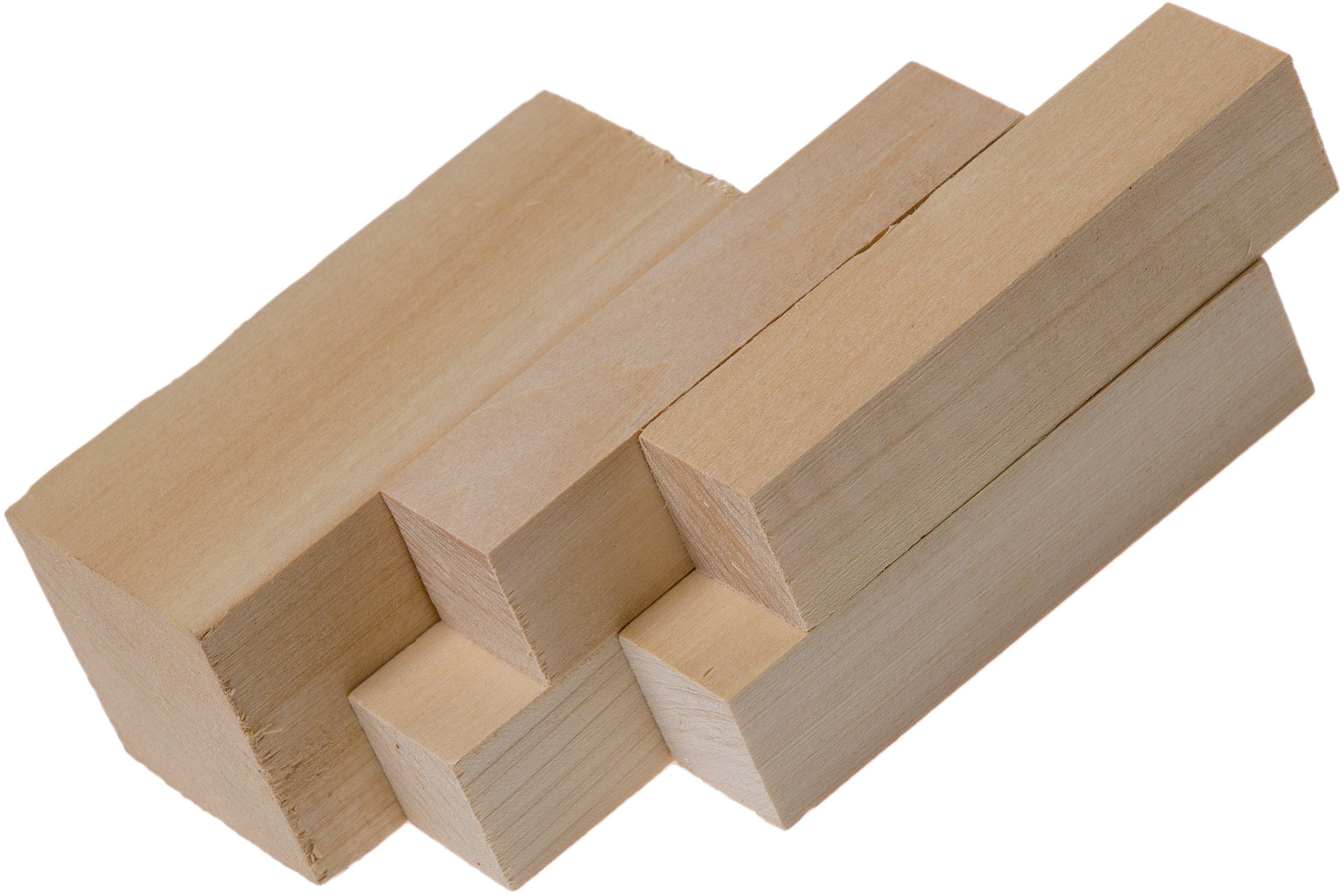 BeaverCraft Wood Carving Blocks BW18, Juego de 18 piezas de bloques de madera  para tallar madera