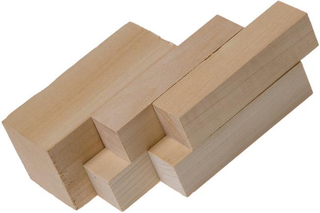 10 Pcs Basswood Carving Blocks Set Bass Wood for Wood Carving in 2023