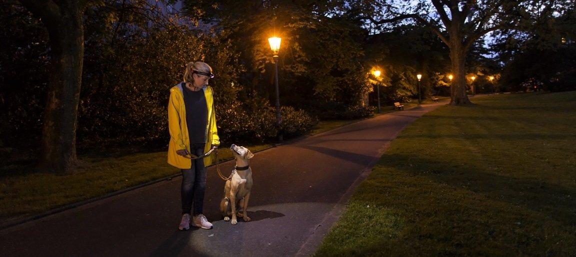 Head torches for at home: all-round and versatile