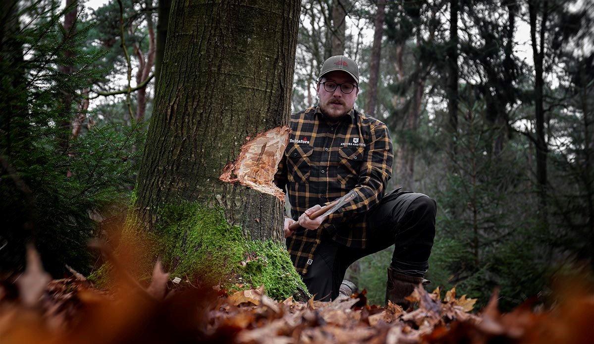 How To: zelf een boom kappen