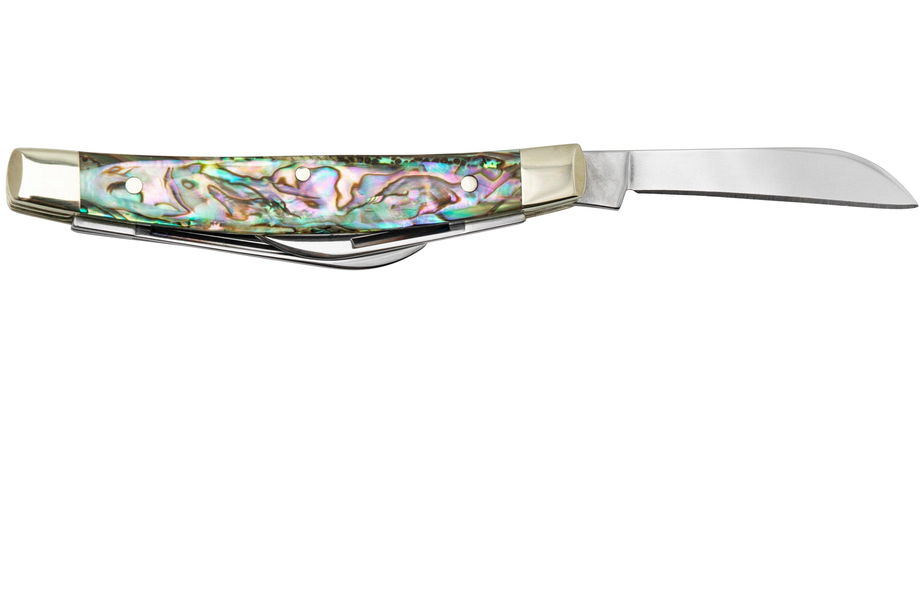 Case Small Congress 12026 Smooth Abalone, pocket knife with Velvet Box