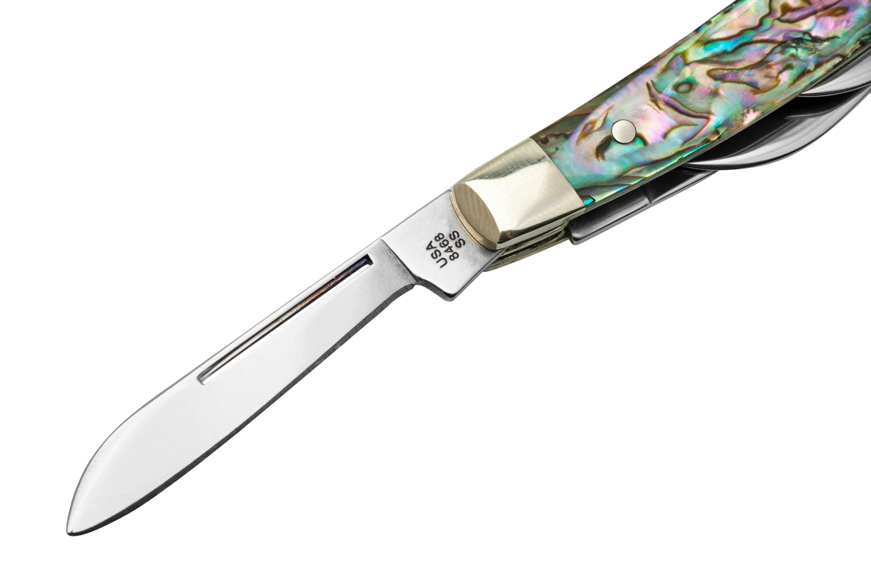 Case Small Congress 12026 Smooth Abalone, pocket knife with Velvet Box