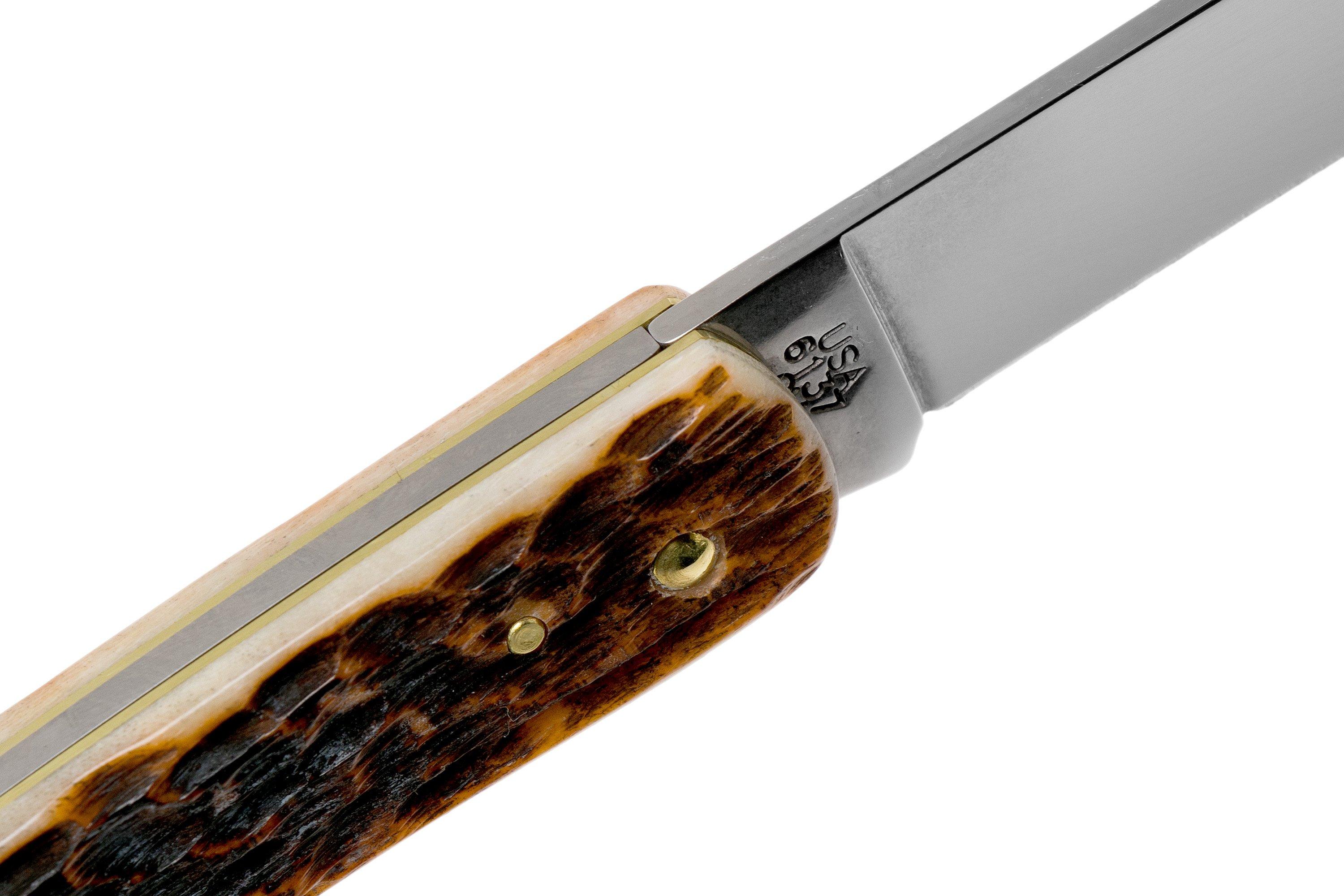 Case Sod Buster Jr Amber Jigged Bone, 30092, 6137 CV pocket knife