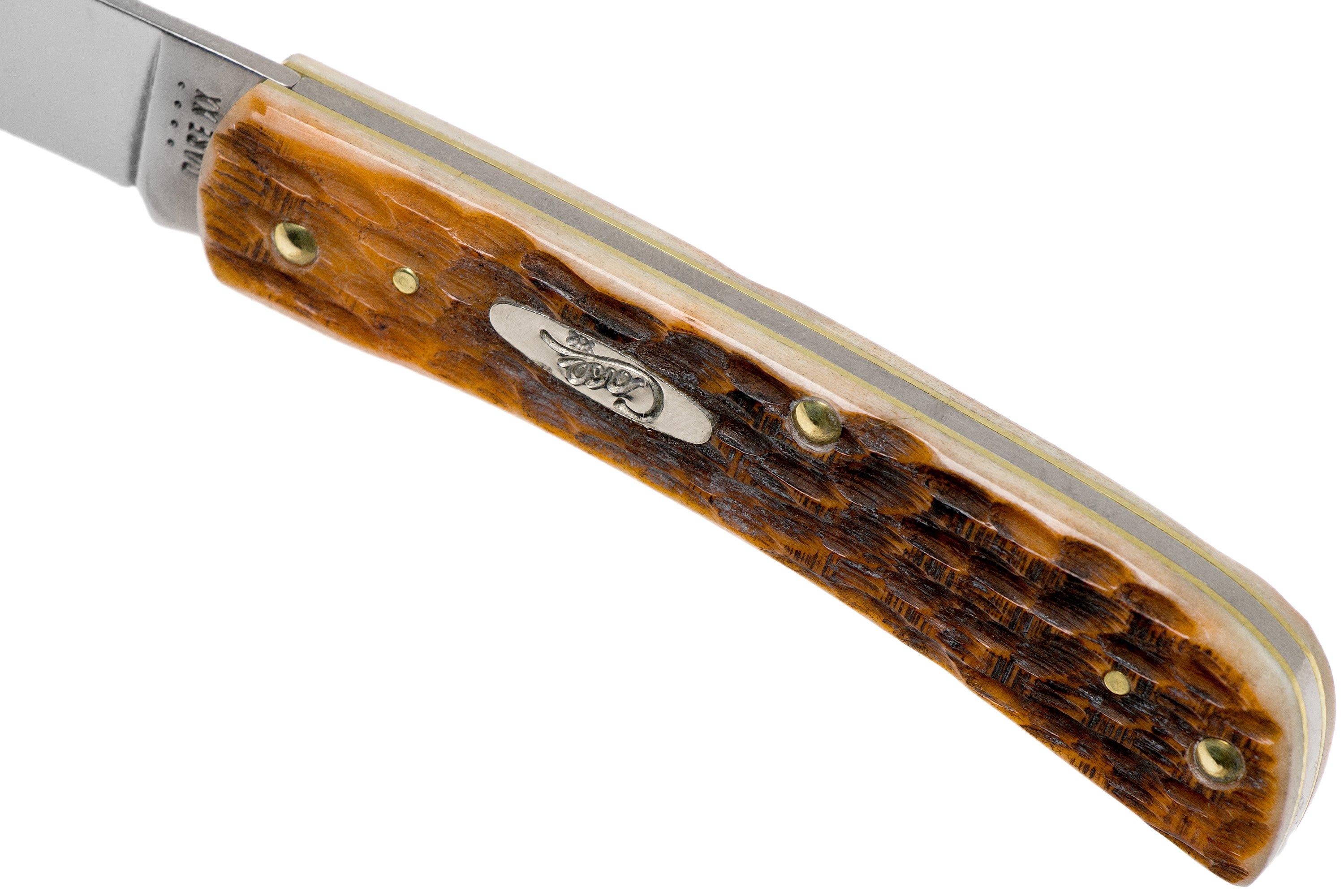 Case Amber Bone Sod Buster Jr. Pocket Knife