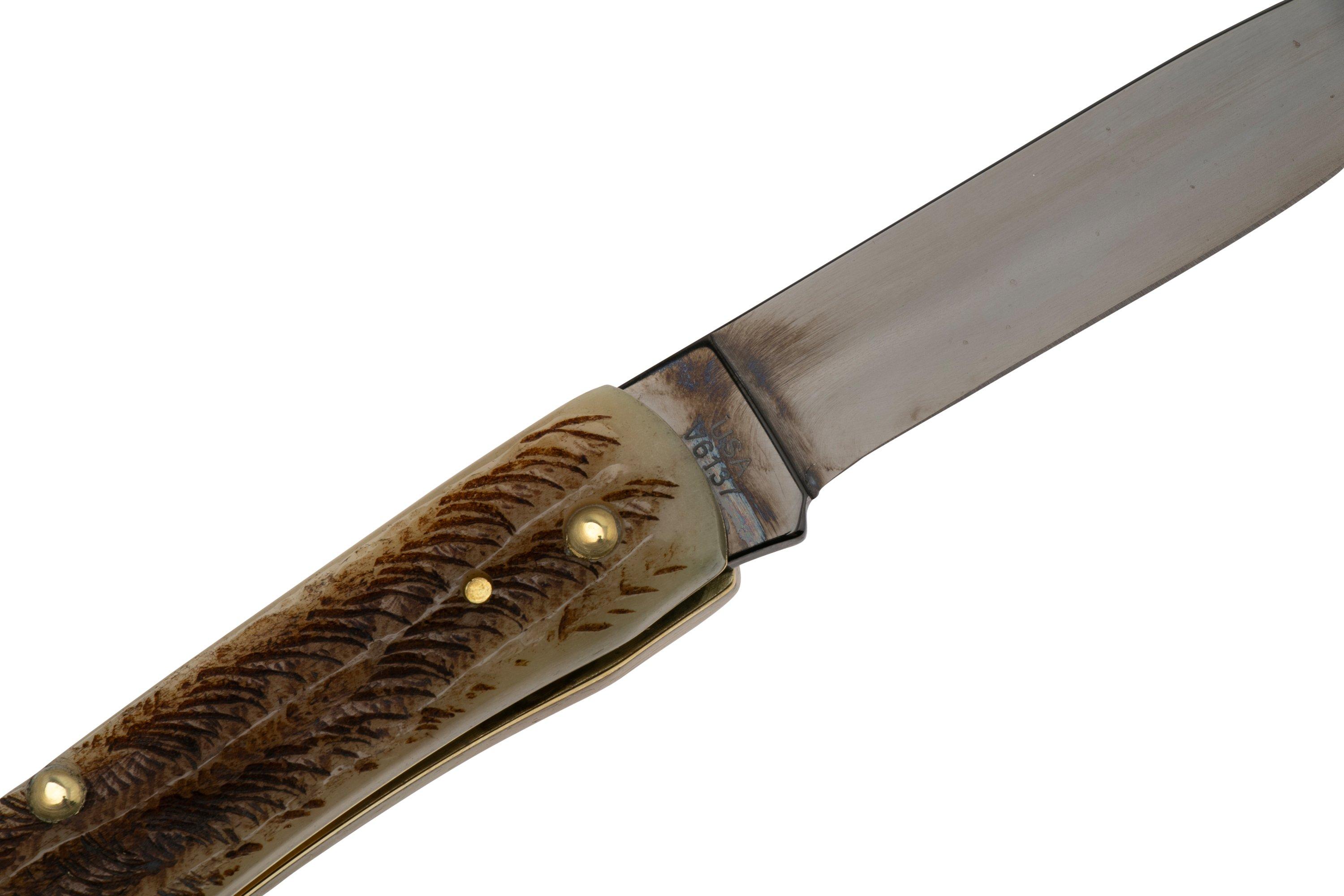 Case Sod Buster Jr 36741 Vintage Bone, PVD Blade V6137 coltello da ...