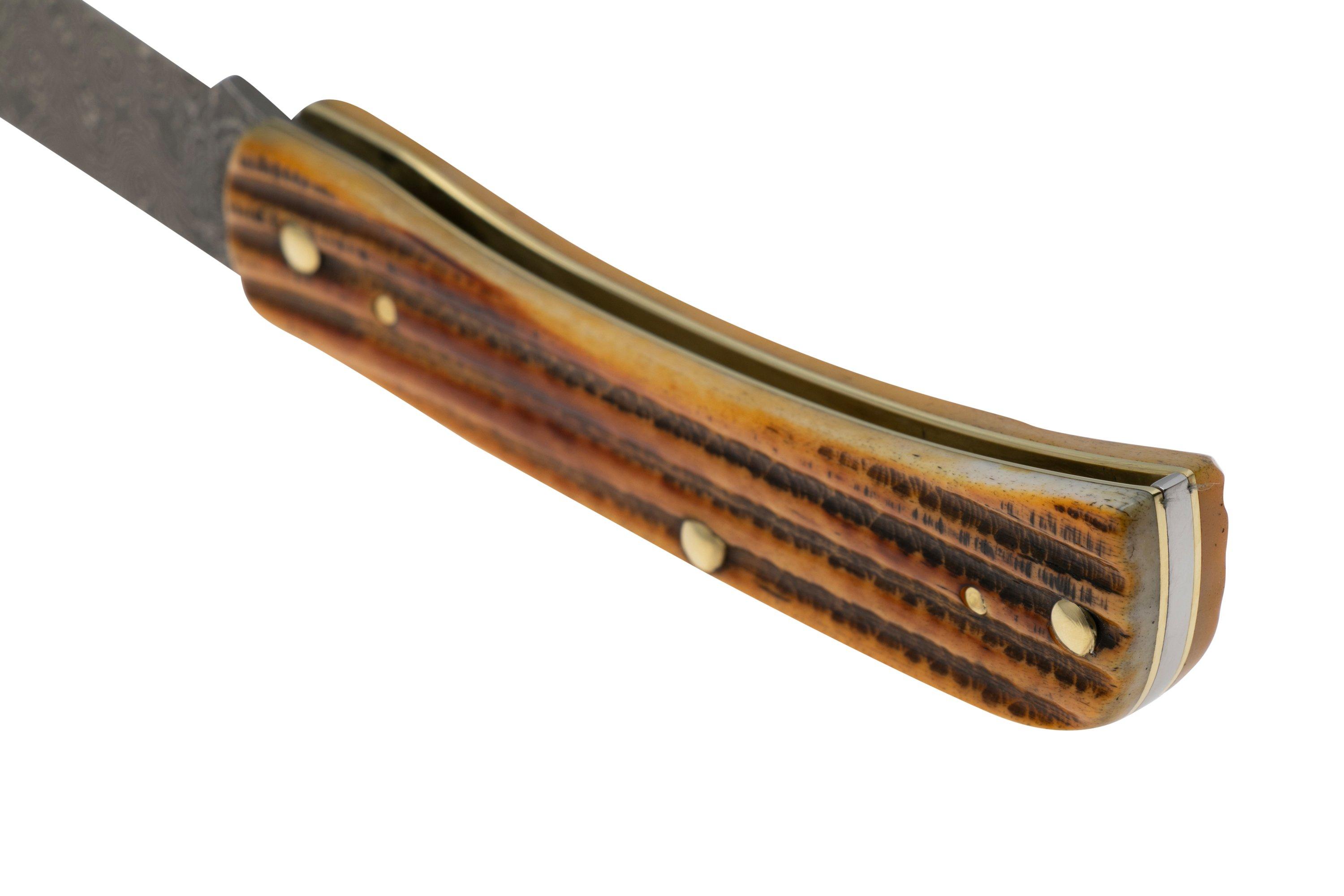 case-sod-buster-jr-52421-burnt-goldenrod-damascus-6137-pocket-knife