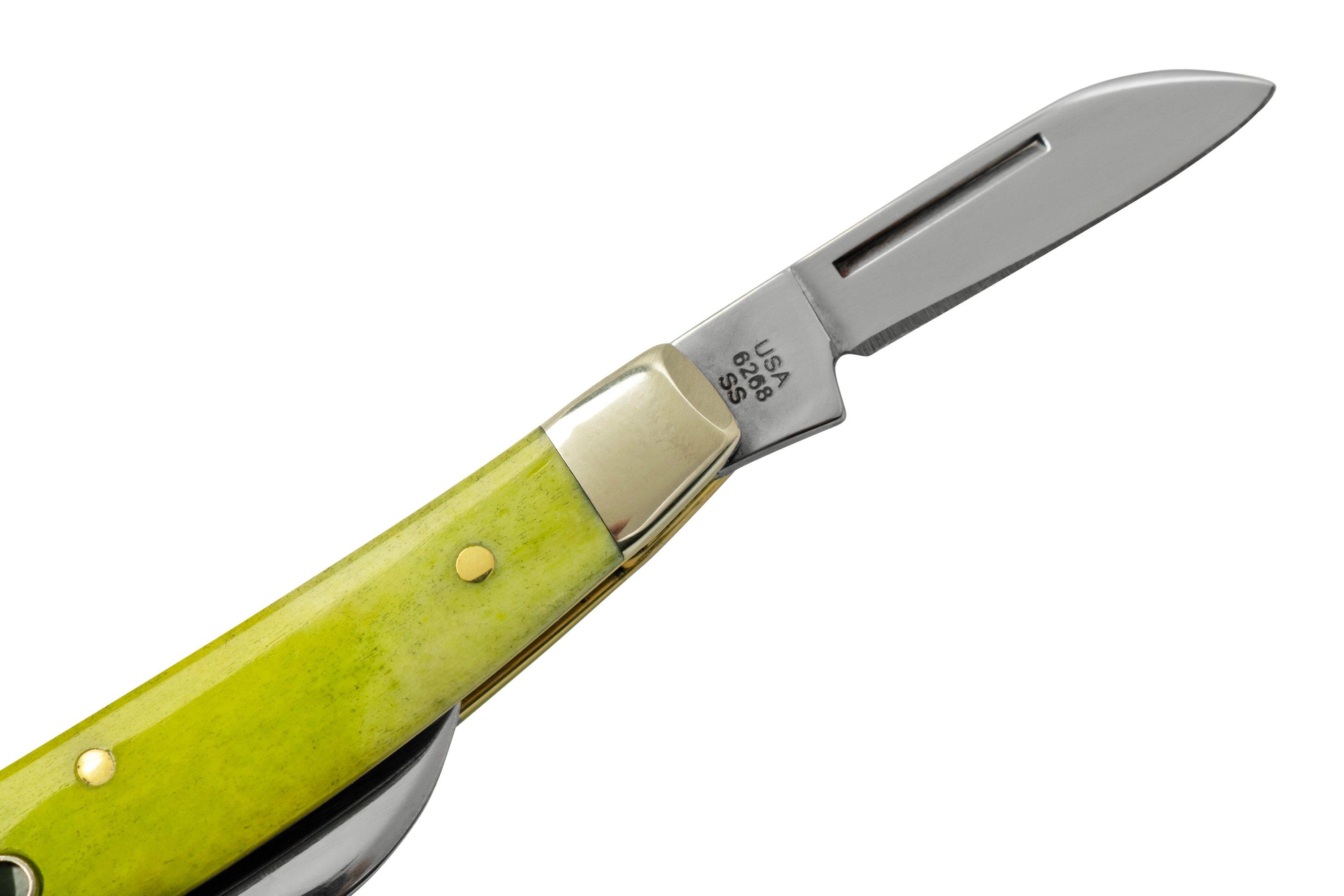 Case Small Congress 53032 Green Apple Bone, pocket knife ...