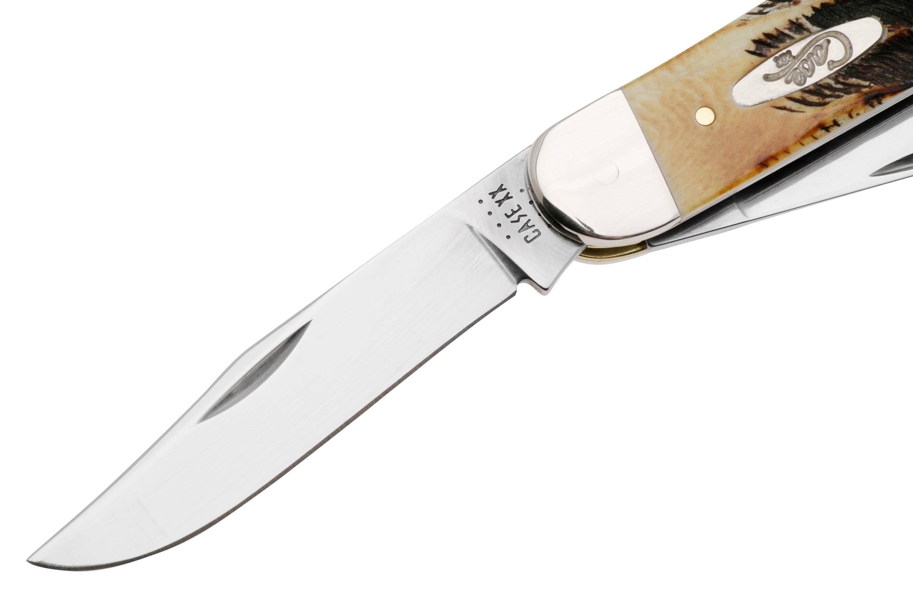 Case Sowbelly 65313 Case 6.5 BoneStag TB6.5339 SS pocket