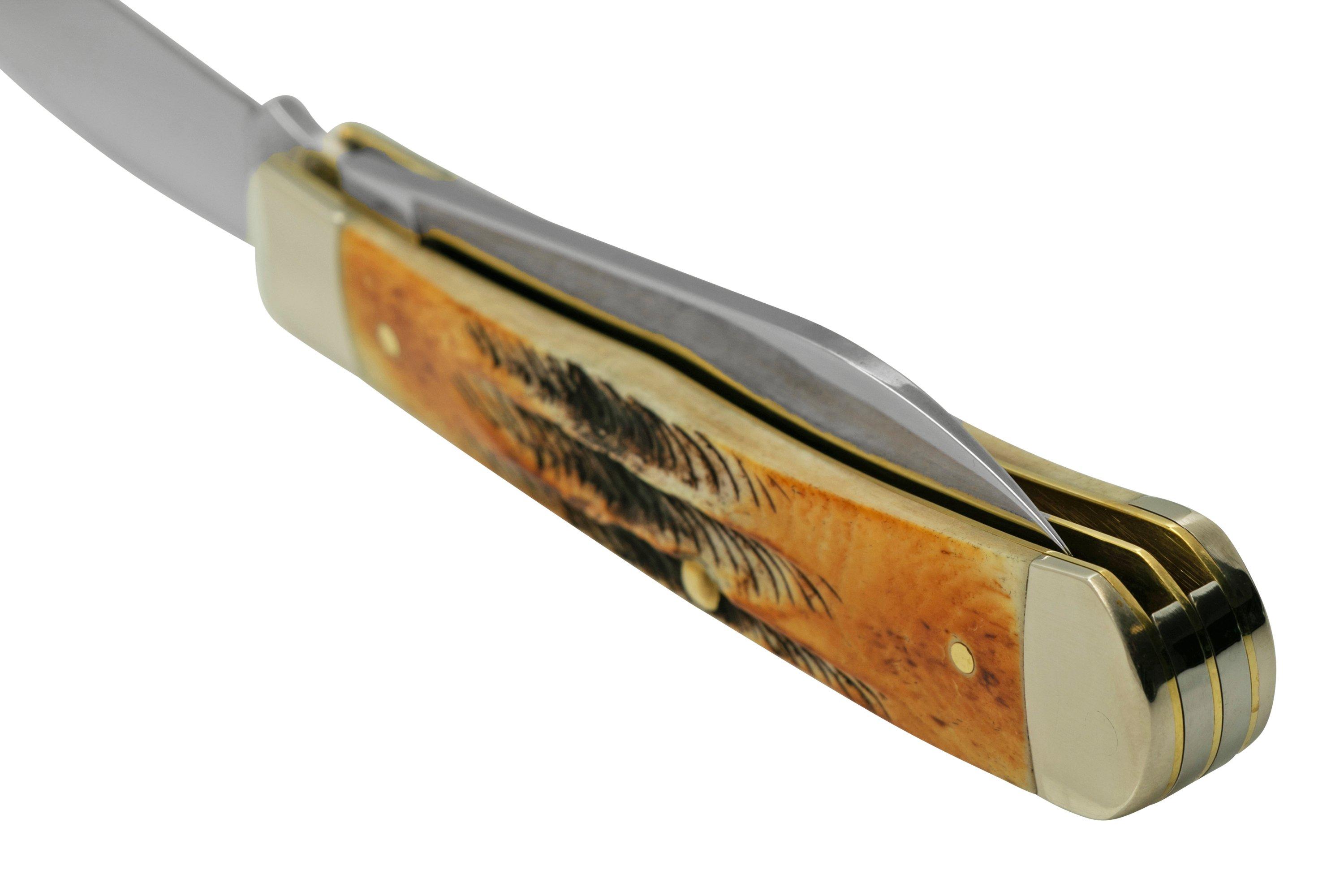 Case Trapper 65329, 6.5 BoneStag, pocket knife Advantageously