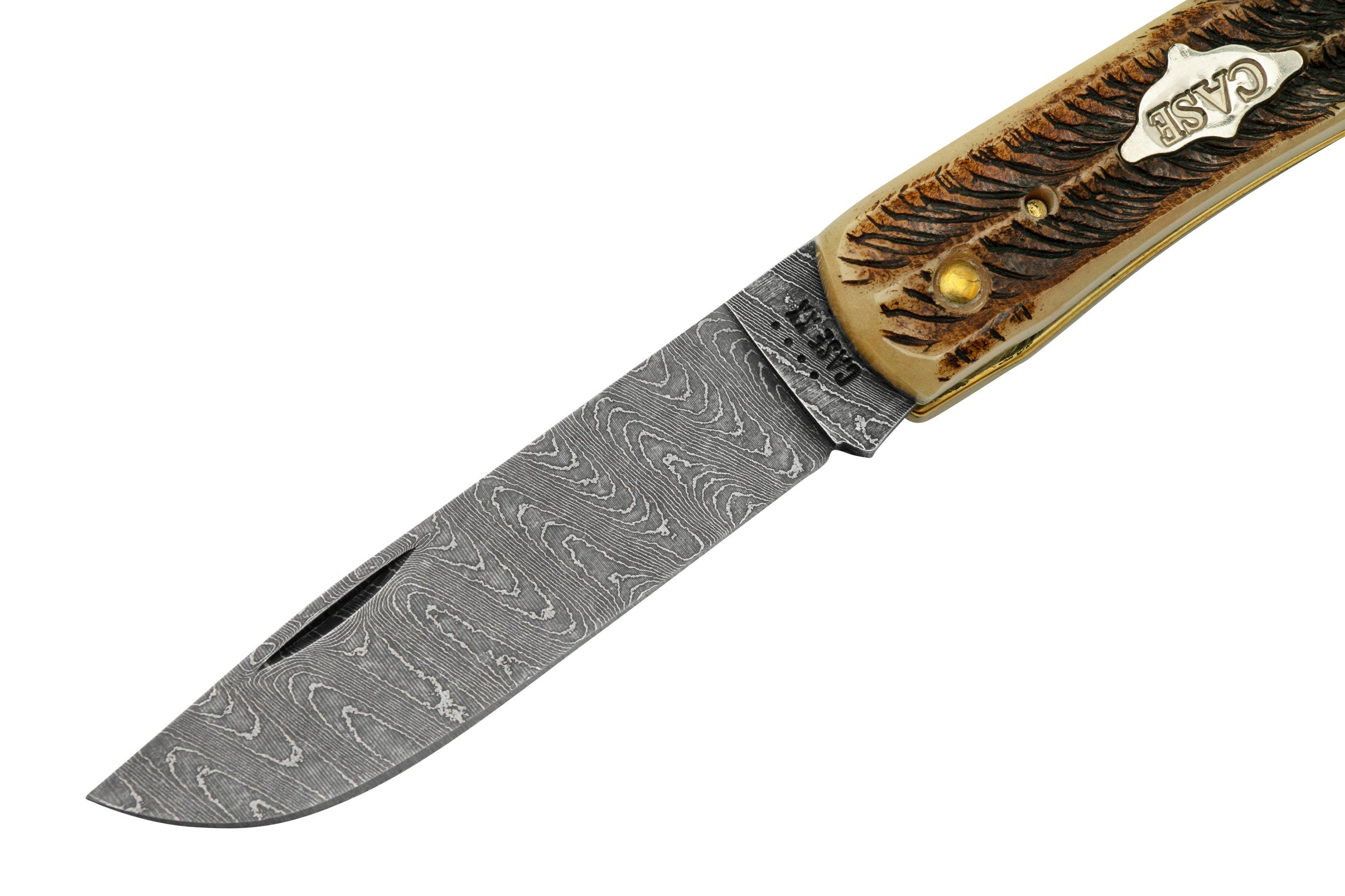 Case Sod Buser Jr 77461 Damascus Vintage Bone, pocket knife