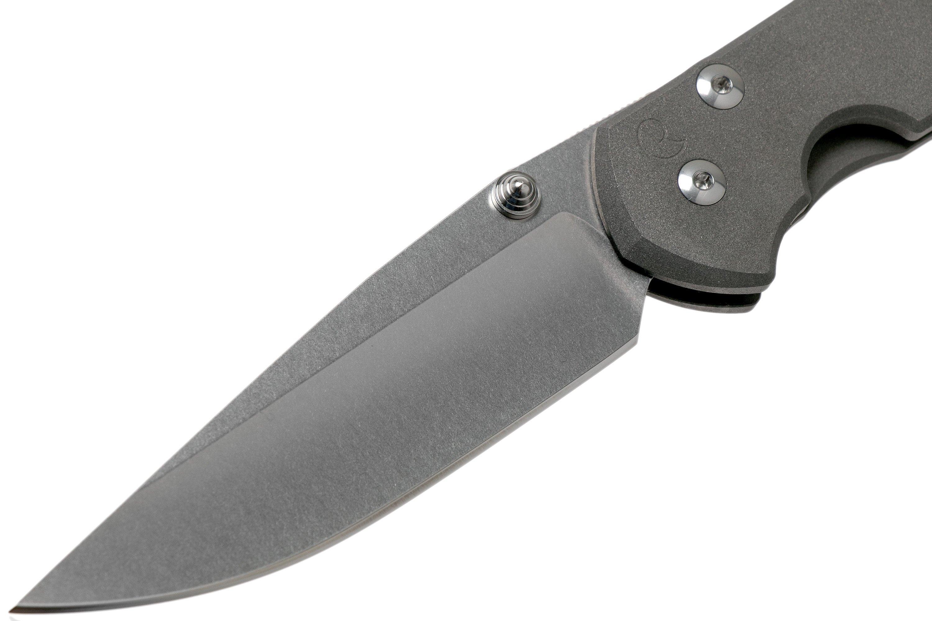 Chris Reeve Large Sebenza 21 Rhino CGG L21-1256 pocket knife