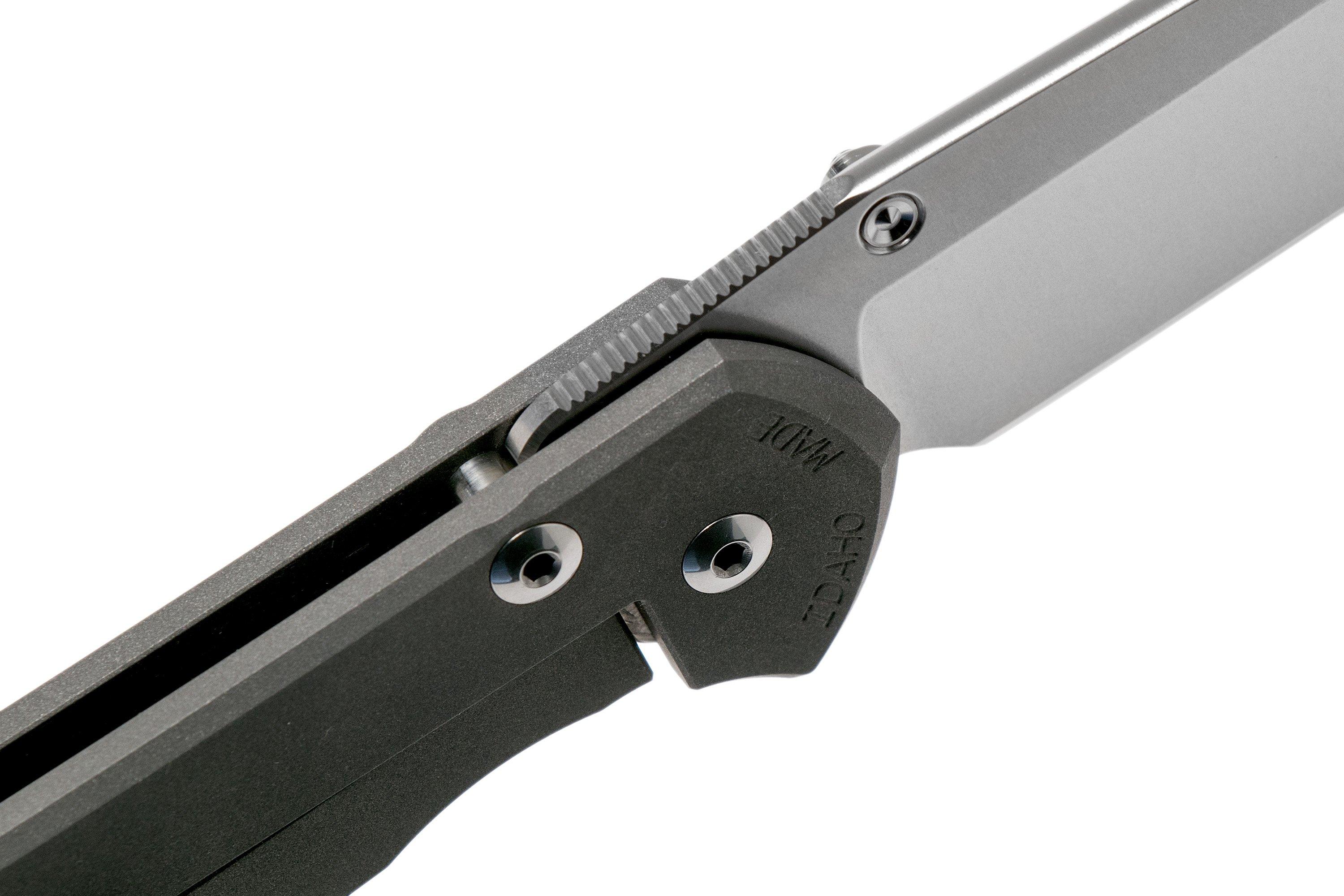 Chris Reeve Large Sebenza 21 Rhino CGG L21-1256 pocket knife