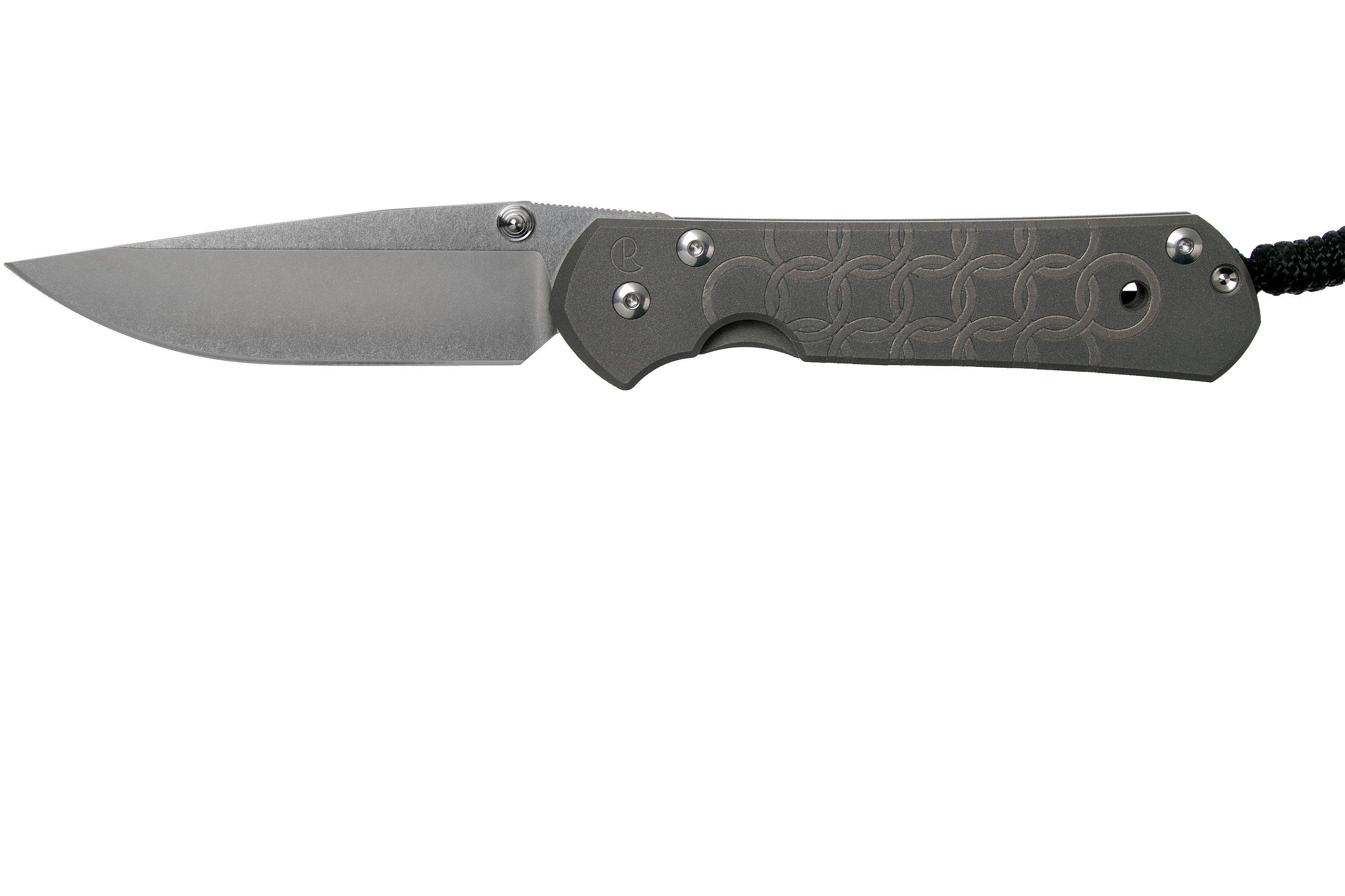 Chris Reeve Large Sebenza 21 Chainmail CGG L211258 pocket knife