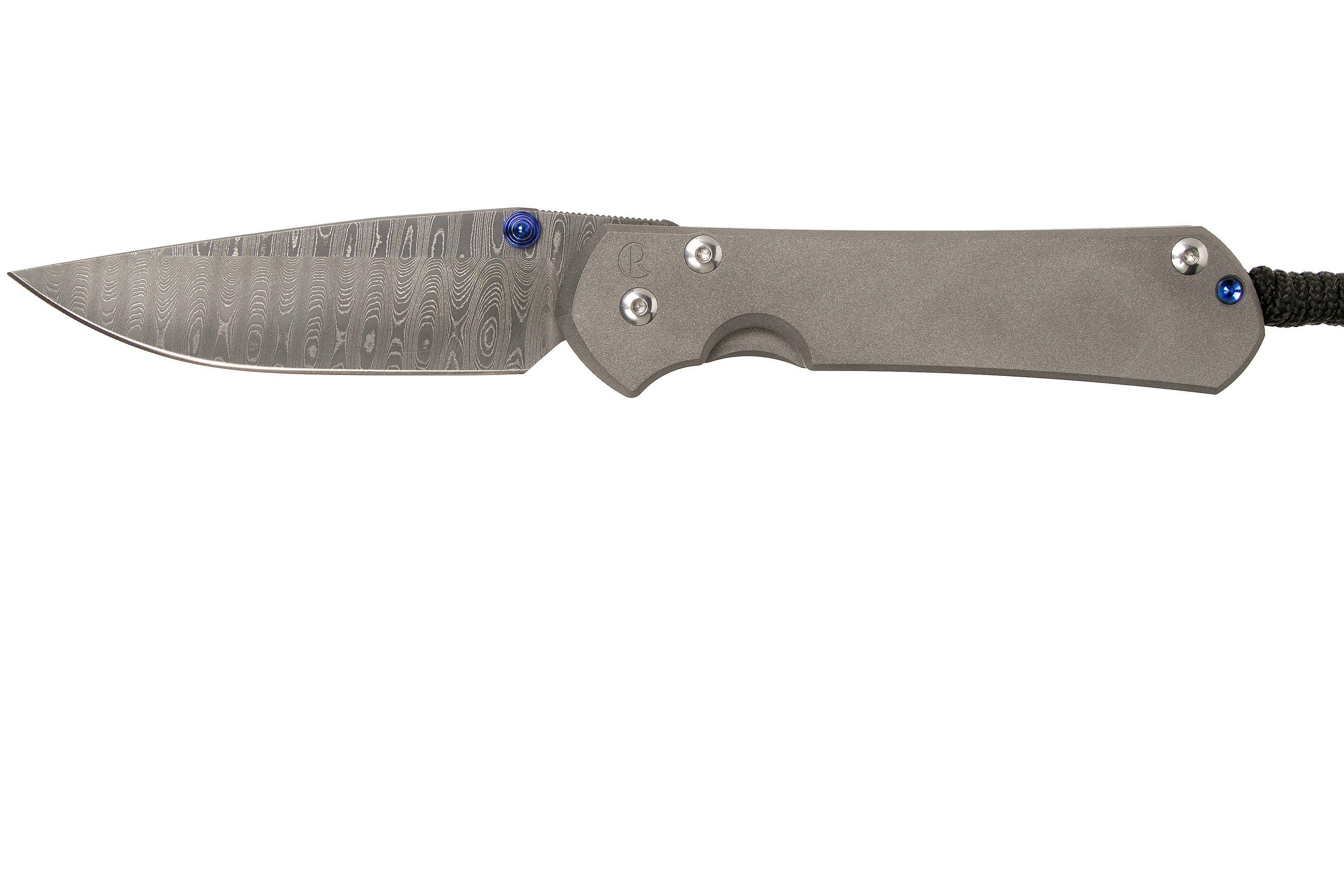 Chris Reeve Sebenza 31 Large Plain Ladder Damascus L311004 zakmes Voordelig kopen bij