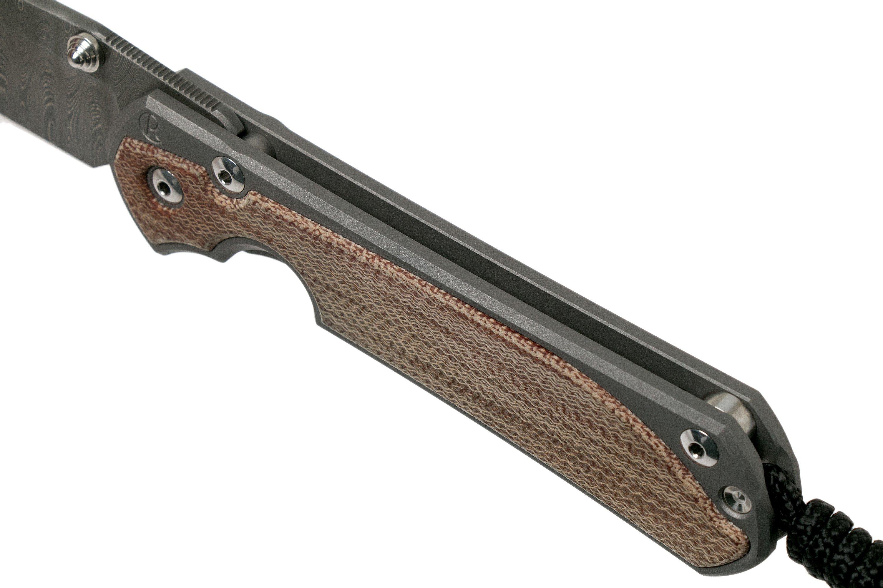 セナ77 Chris Reeve Sebenza 31 Large Natural Micarta Ladder Damascus L31