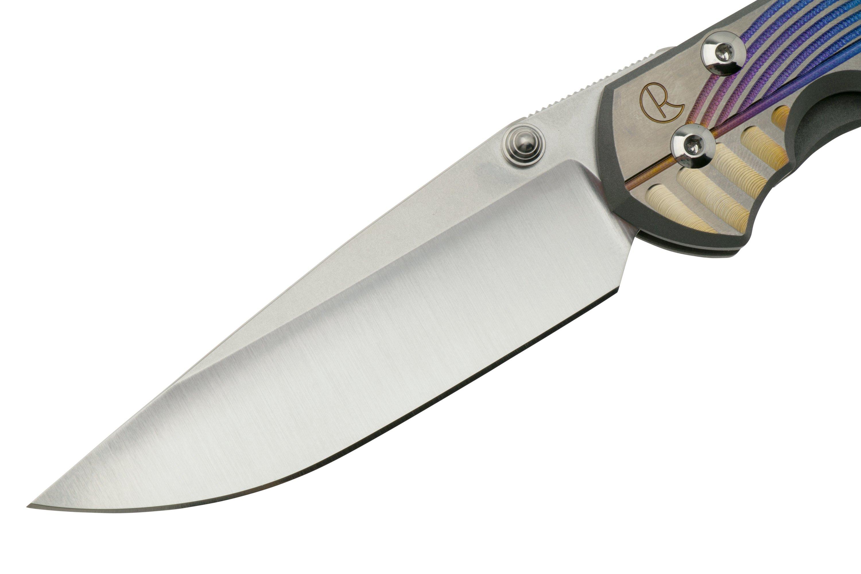 Chris Reeve Large Sebenza 31 Unique Graphics Drop Point L31-1400-20-D ...