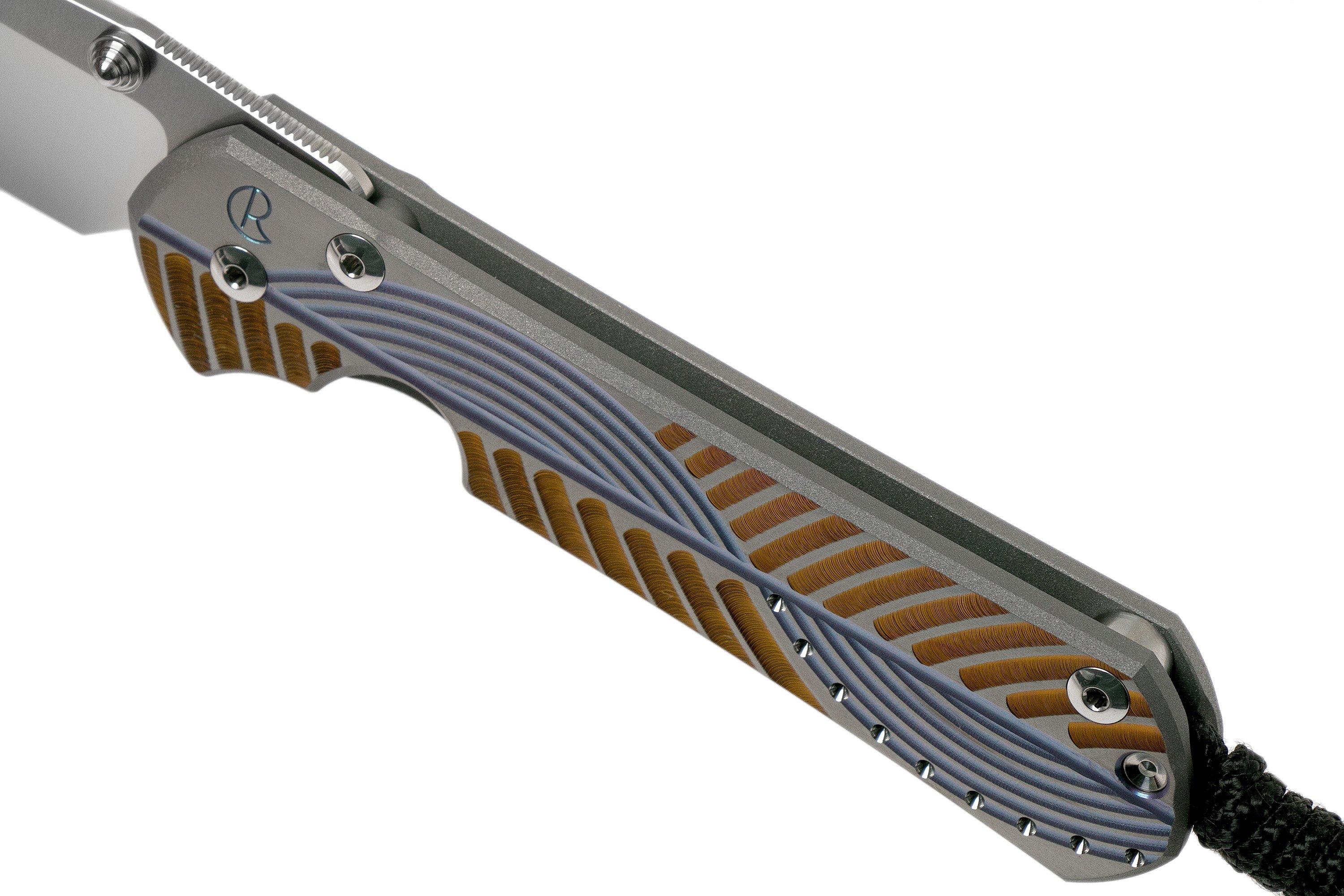 Chris Reeve Large Sebenza 31 Unique Graphics Drop Point L31-1400-20-D ...
