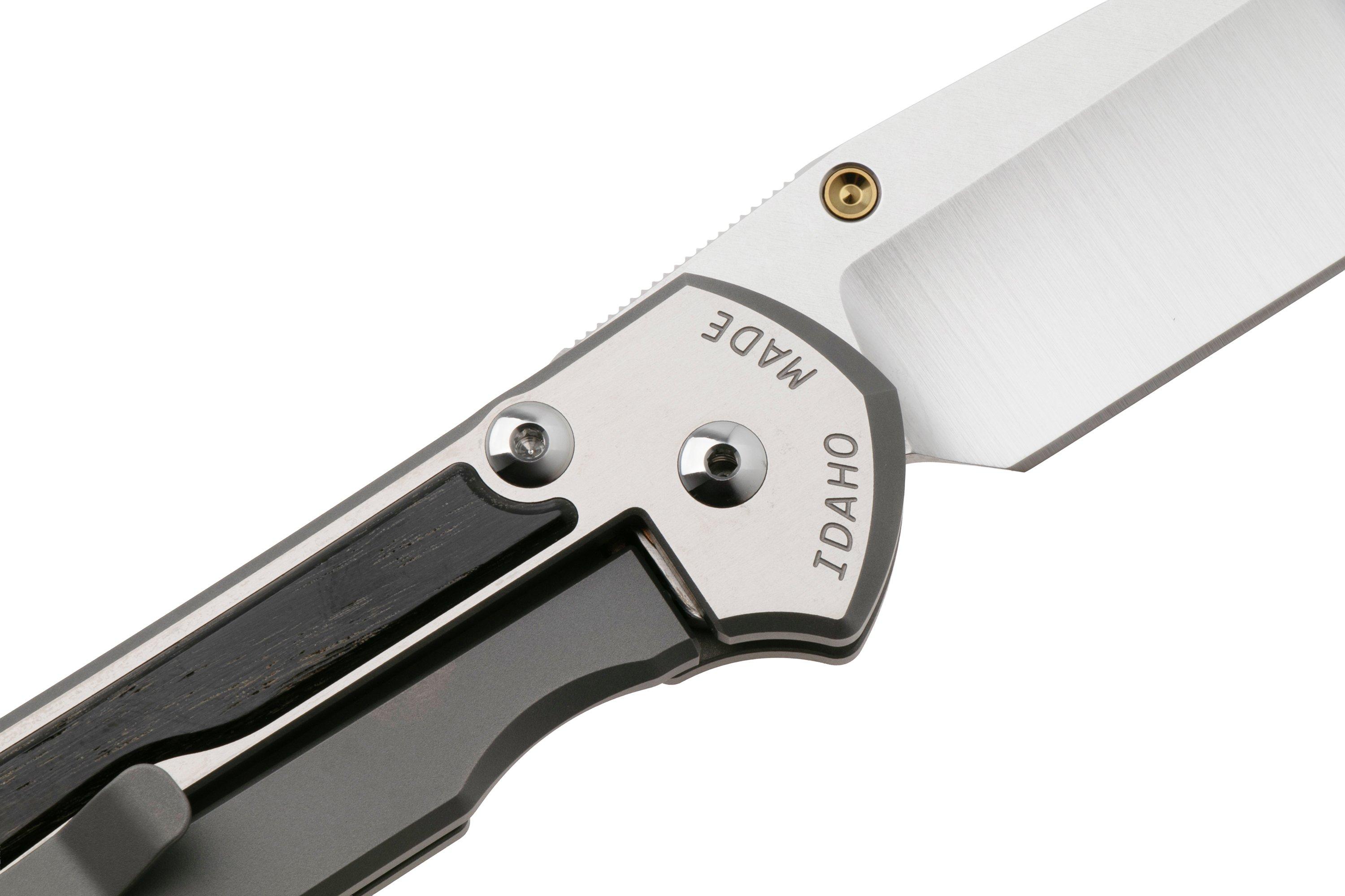 Chris Reeve Large Sebenza 31 L31-1620, Satin CPM MagnaCut, Polished ...