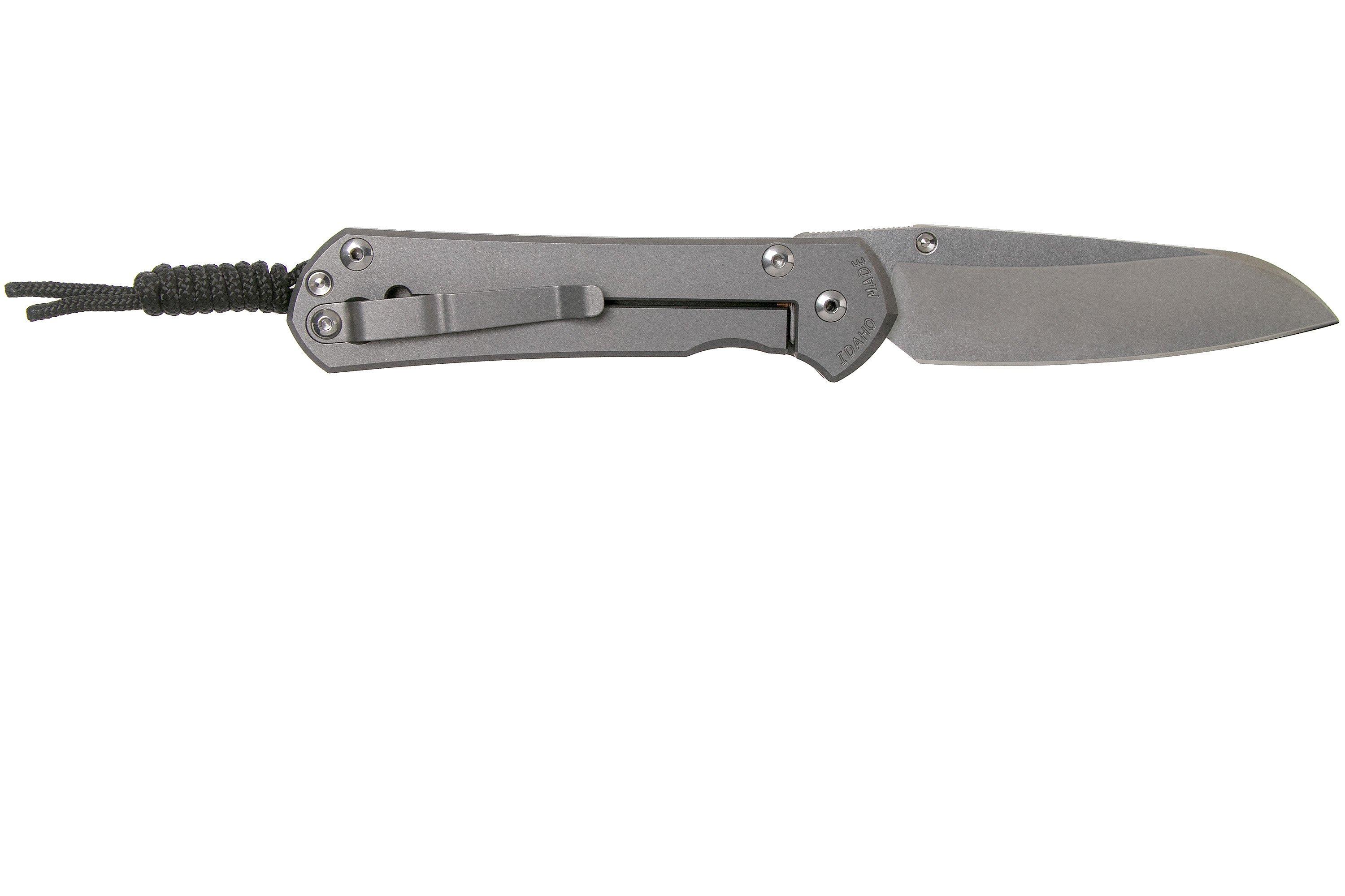 Chris Reeve Sebenza 31 Large Plain Glass Blasted Insingo L311685