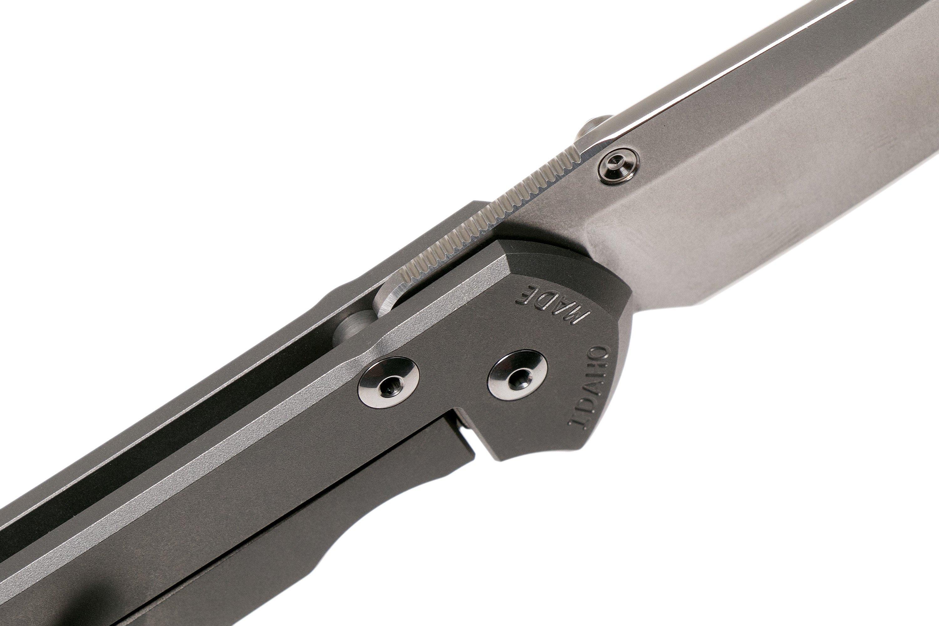 Chris Reeve Sebenza 31 Large Plain Glass Blasted Insingo L311685