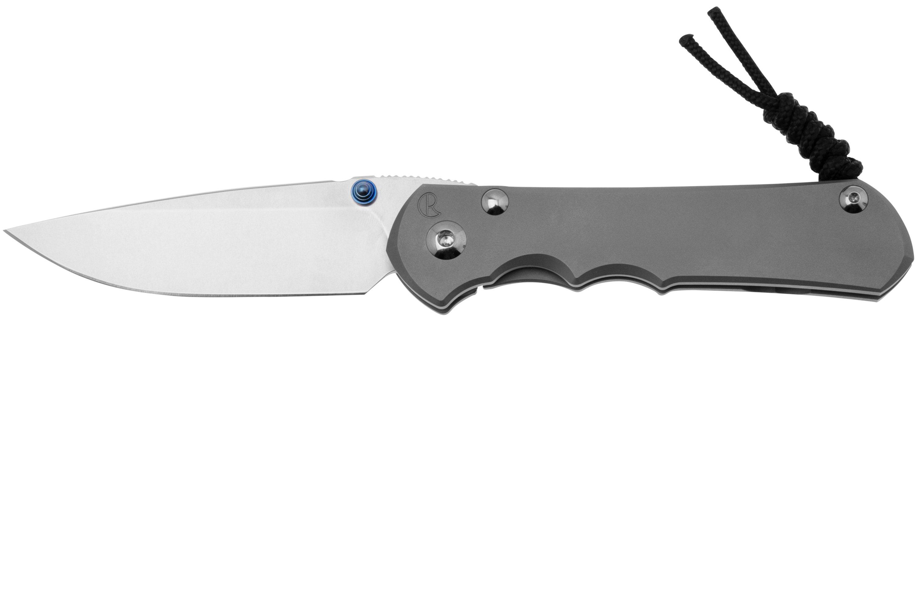 Chris Reeve Large Inkosi LIN-1108 Plain Drop Point CPM-Magnacut, Glass ...
