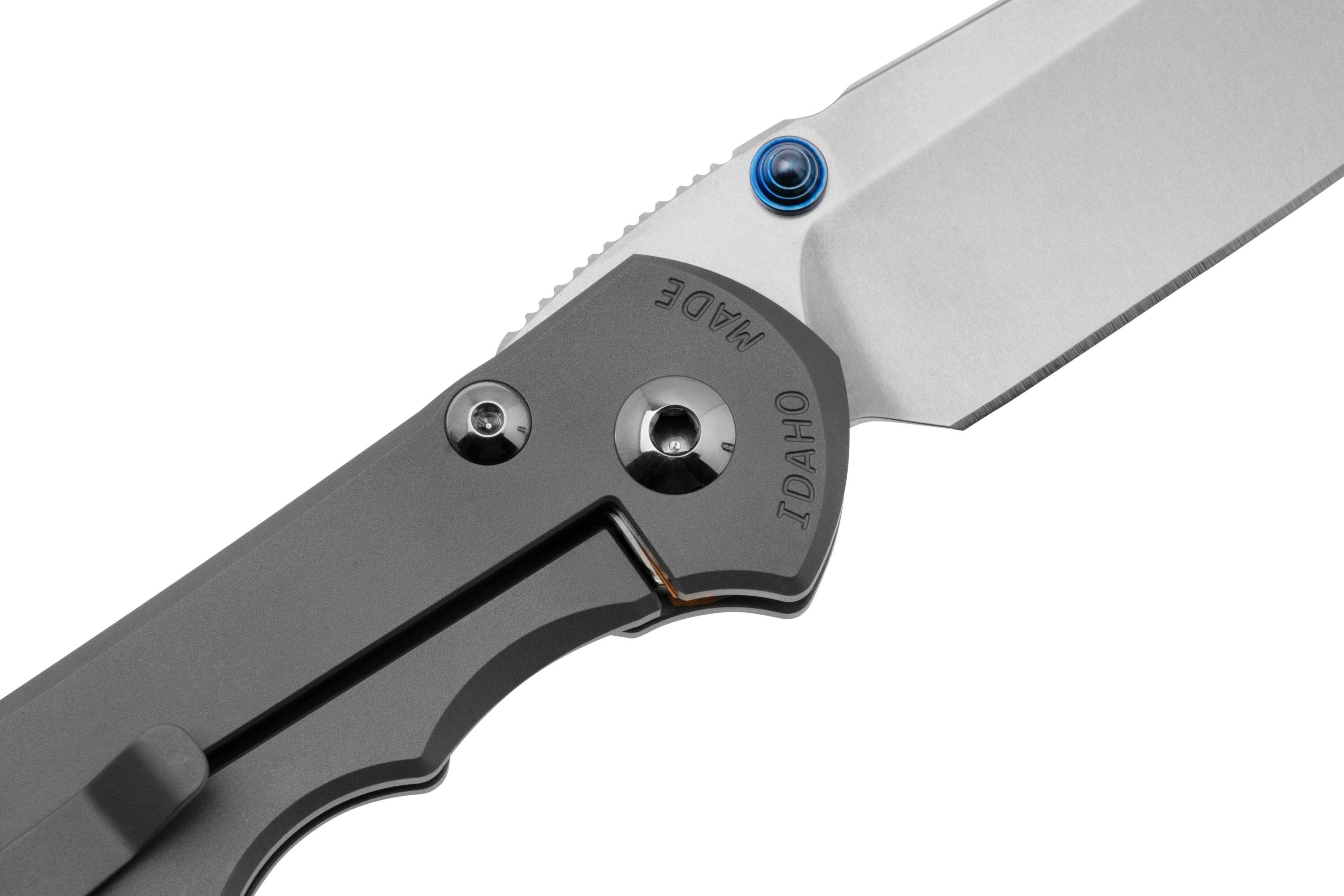 Chris Reeve Large Inkosi LIN-1108 Plain Drop Point CPM-Magnacut, Glass ...