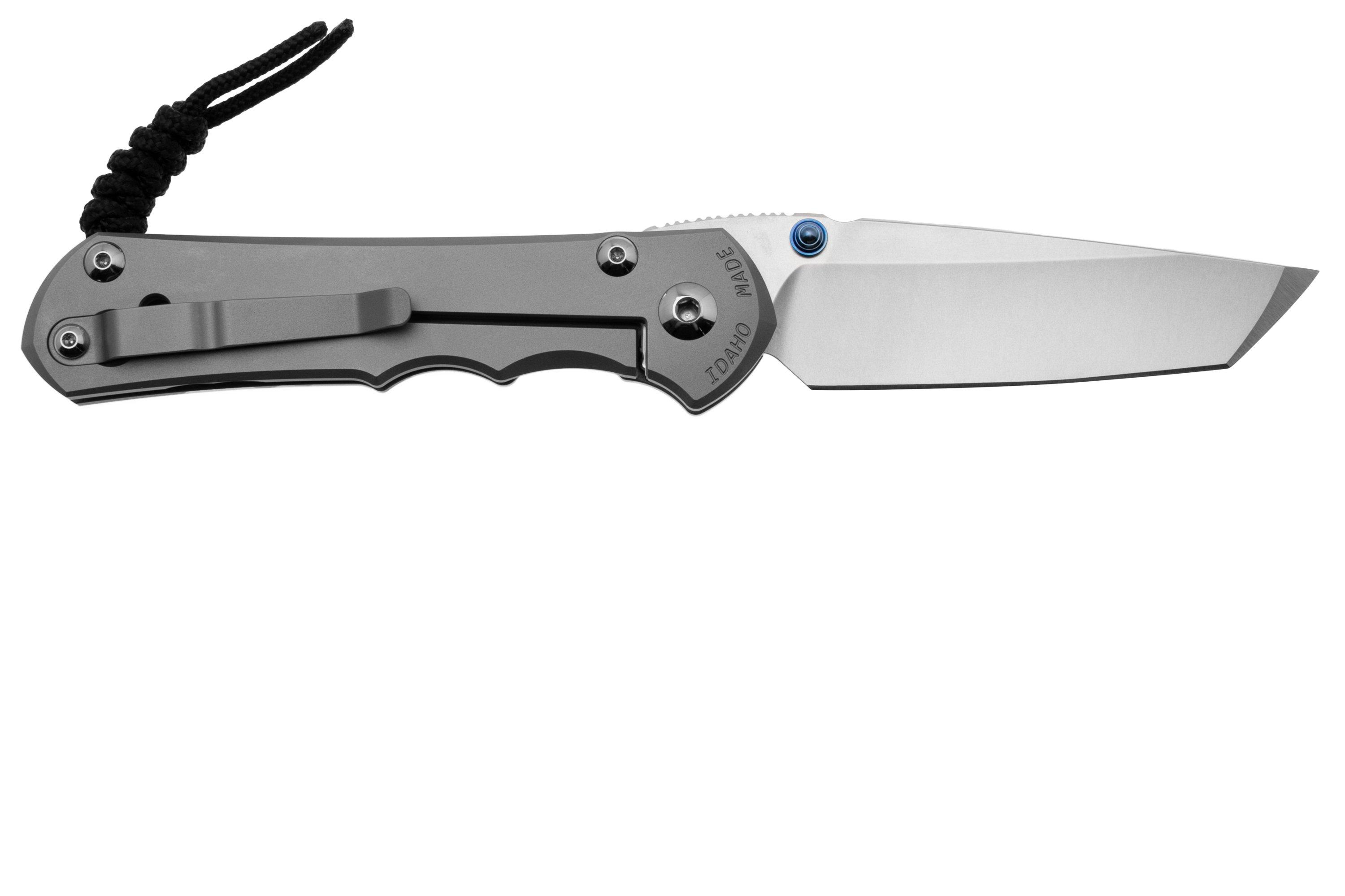 Chris Reeve Large Inkosi LIN-1130 MagnaCut Tanto, Plain, Glass Blasted ...