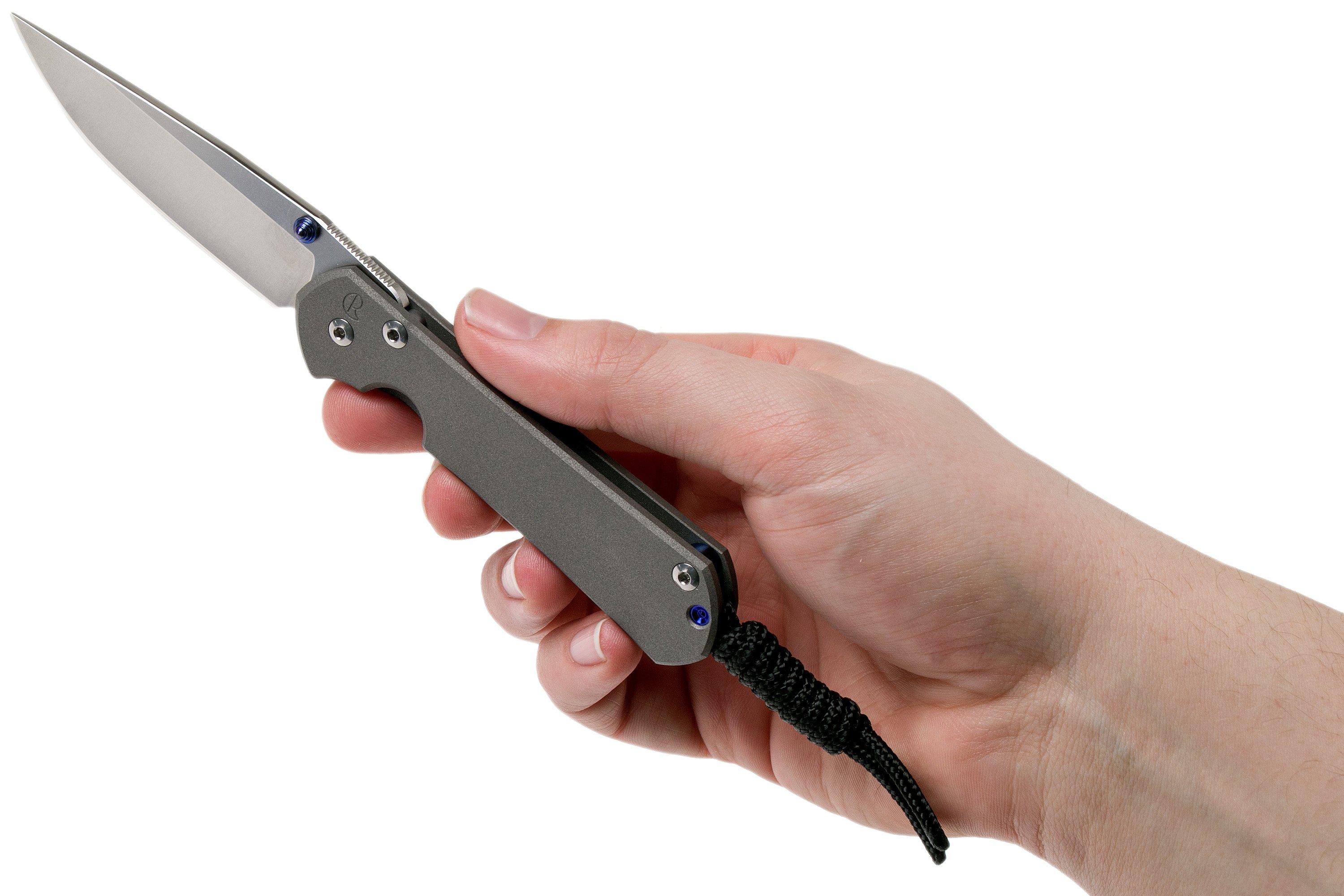 Chris Reeve Small Sebenza 31 Plain Drop Point Advantageously shopping at