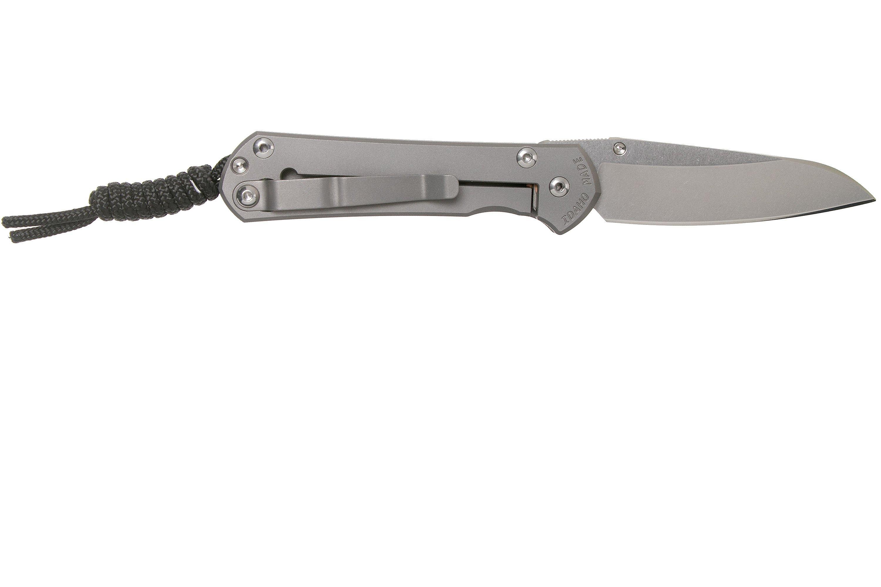 Chris Reeve Sebenza 31 Small Plain Glass Blasted Insingo S311685