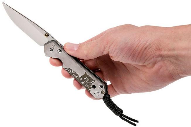 Image for Chris Reeve Small Sebenza 21 Leopard CGG S21-1048 pocket knife