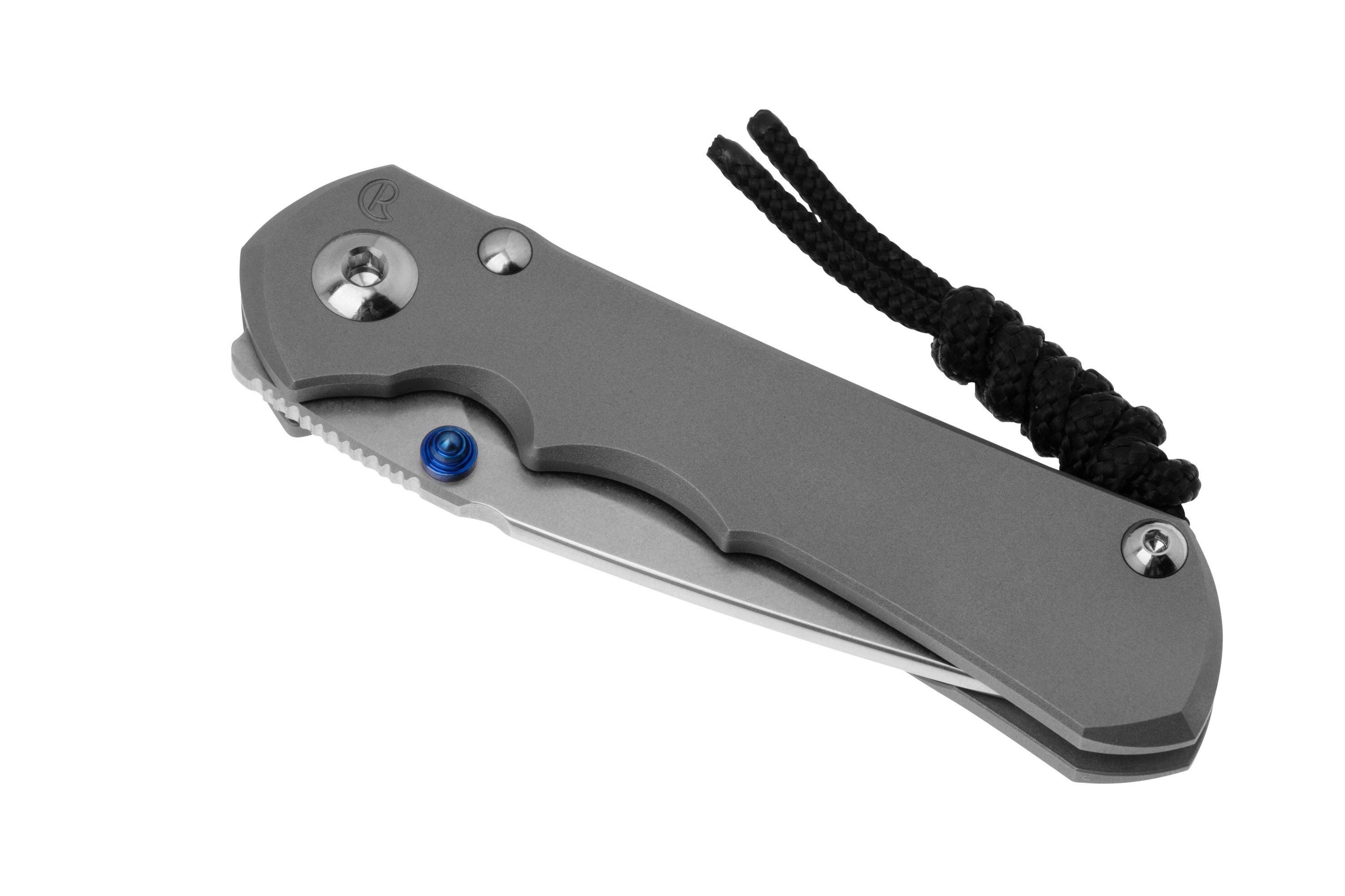 Chris Reeve Small Inkosi SIN1108 CPM MagnaCut Drop Point, Plain Glass