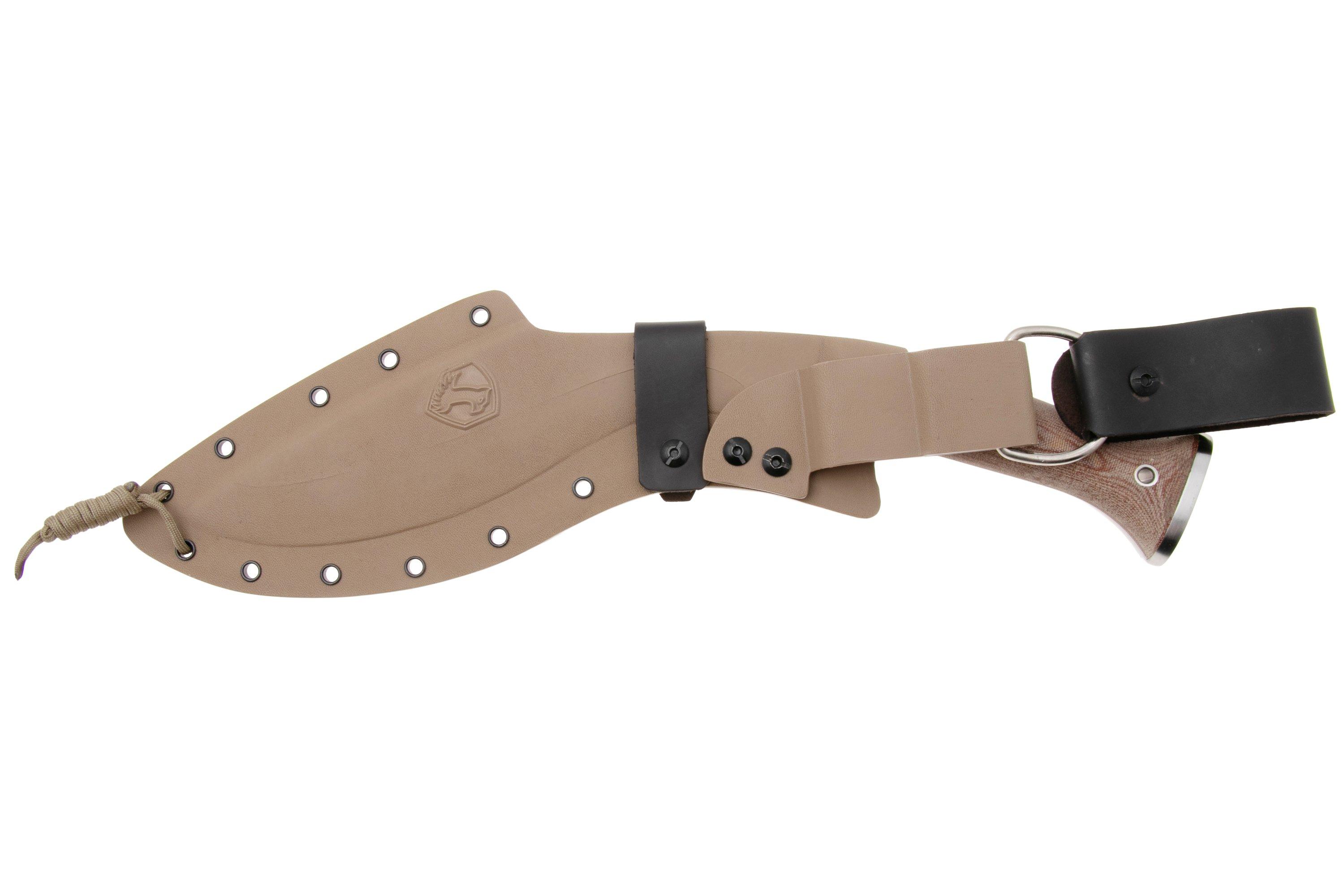 CTK1811-10_07_condor
