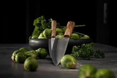 Due Cigni kitchen knives with X50CrMoV15 steel