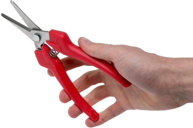 Long-Nose Fruit Scissor