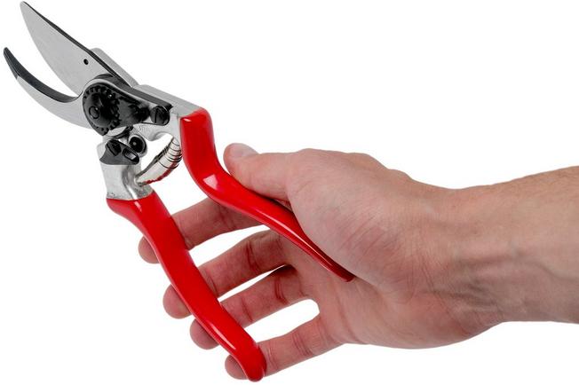 Felco 8 Bypass Secateurs review - Pruning - Tools