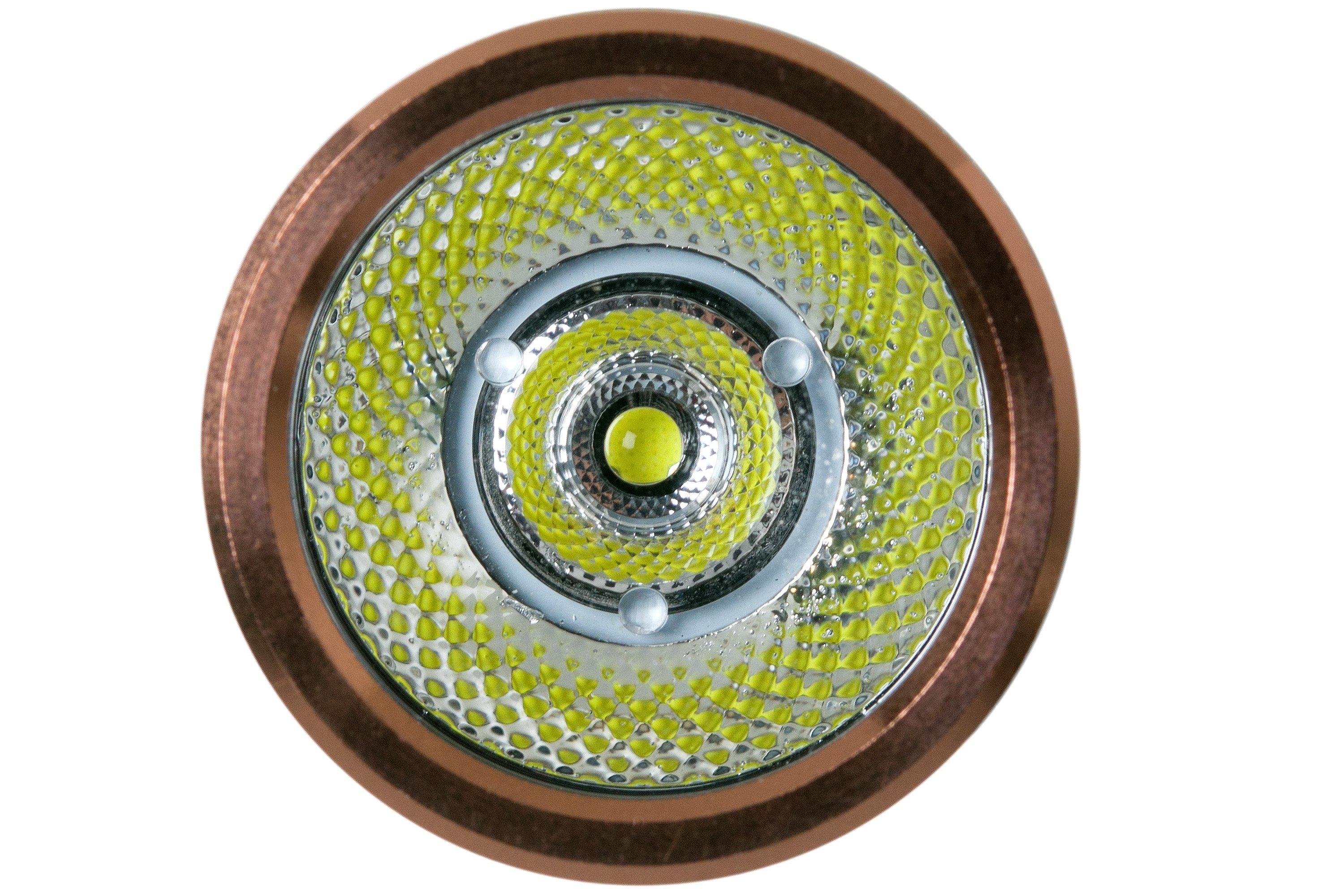 Fenix E12 V2.0 flashlight | Advantageously shopping at Knivesandtools.ie