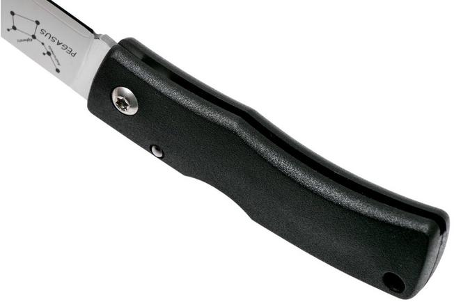Image for Fällkniven U2Pe Pegasus gentleman's knife