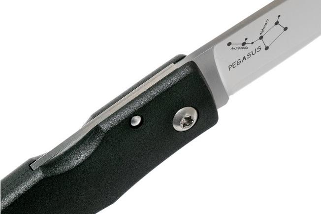 Image for Fällkniven U2Pe Pegasus gentleman's knife