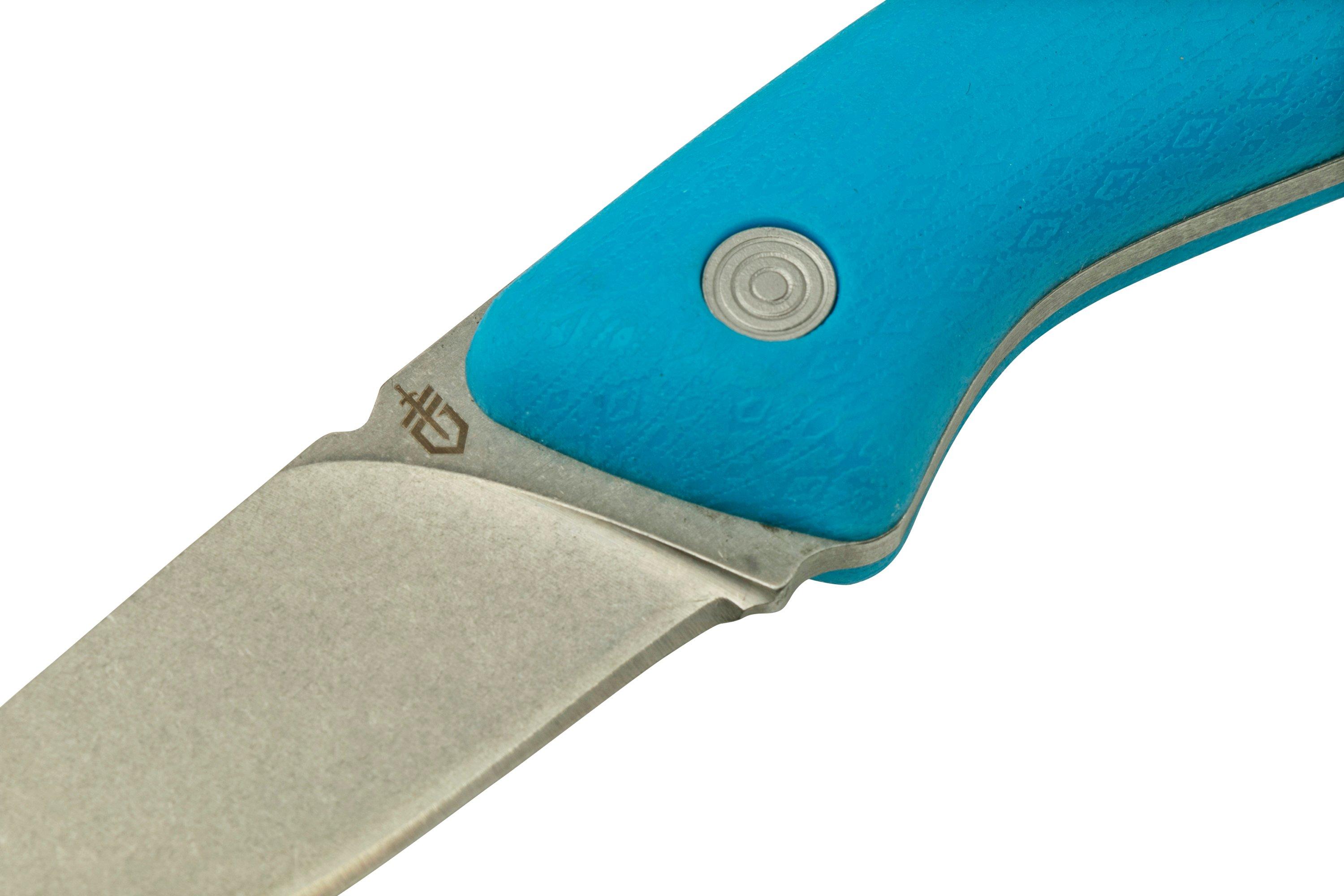 Gerber Vertebrae Fixed Blade Cyan, 1051072 fixed knife Advantageously