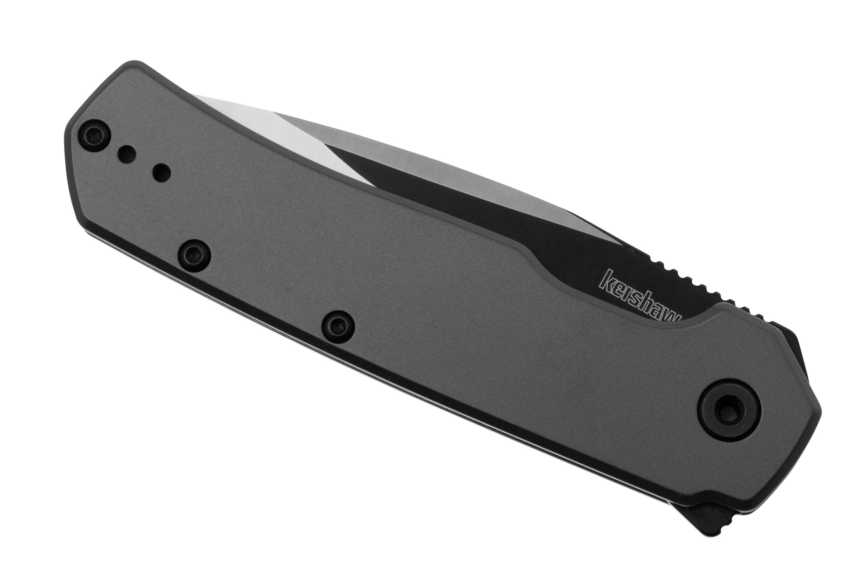 Kershaw Thermal 1411, Assisted Flipper, Stainless Steel, pocket knife ...