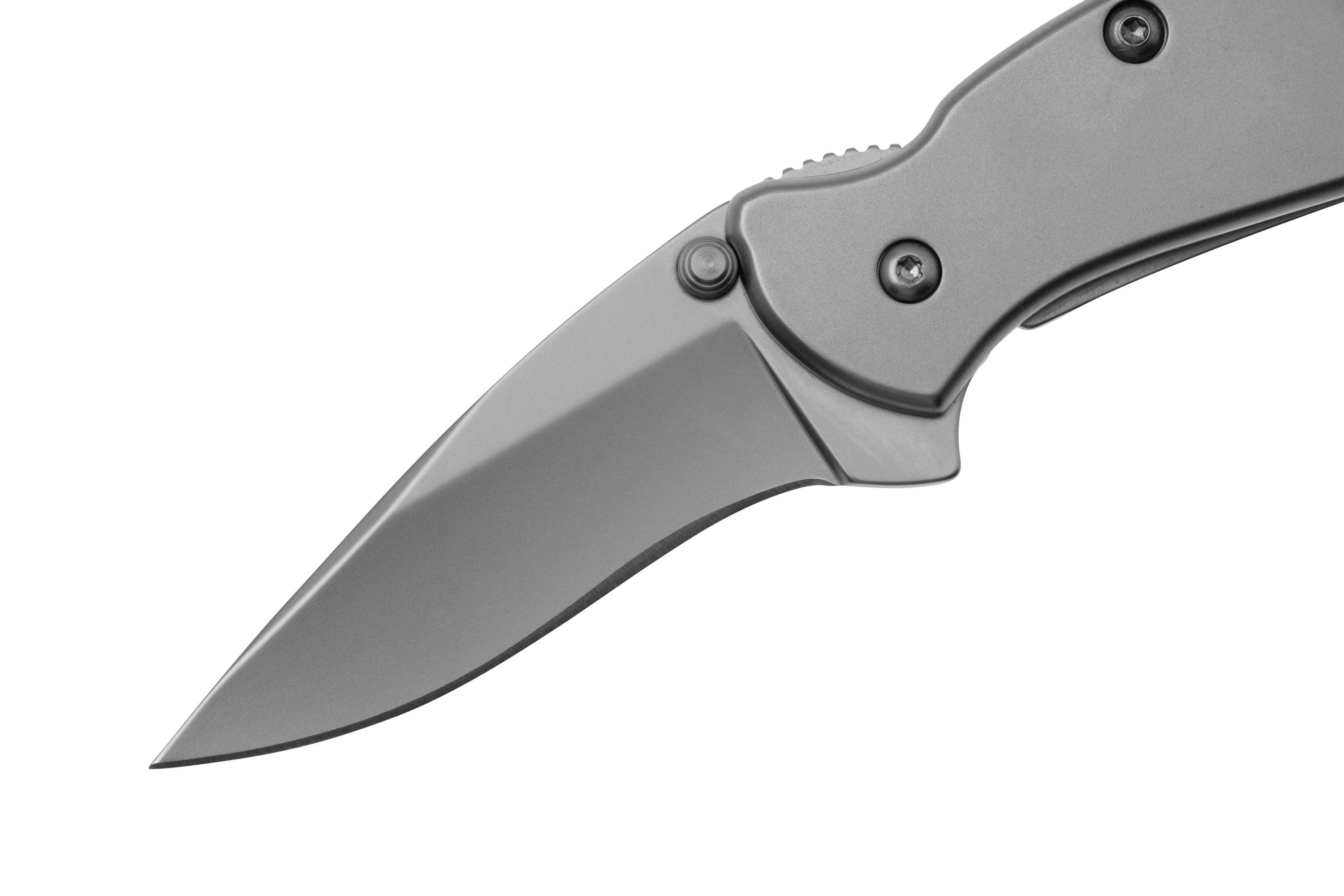 Kershaw 1600 Chive | Advantageously shopping at Knivesandtools.dk