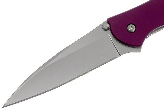 Kershaw Leek Purple